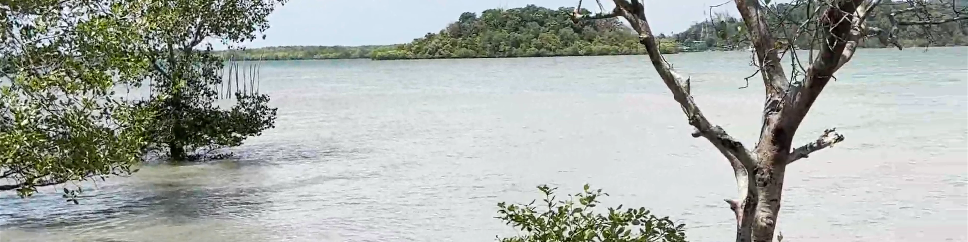 Ban Klong Mak Viewpoint