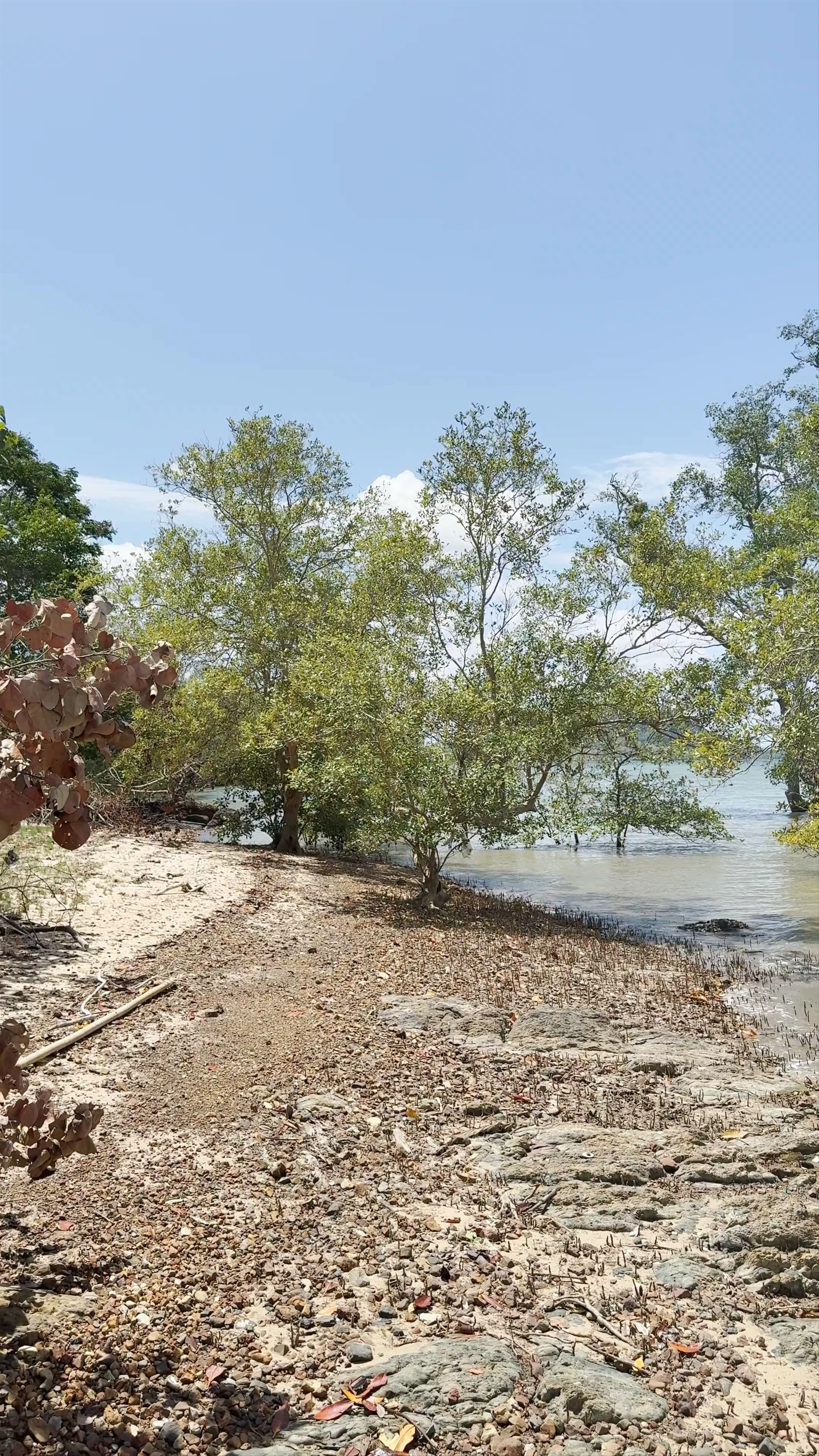 Ban Klong Mak Viewpoint