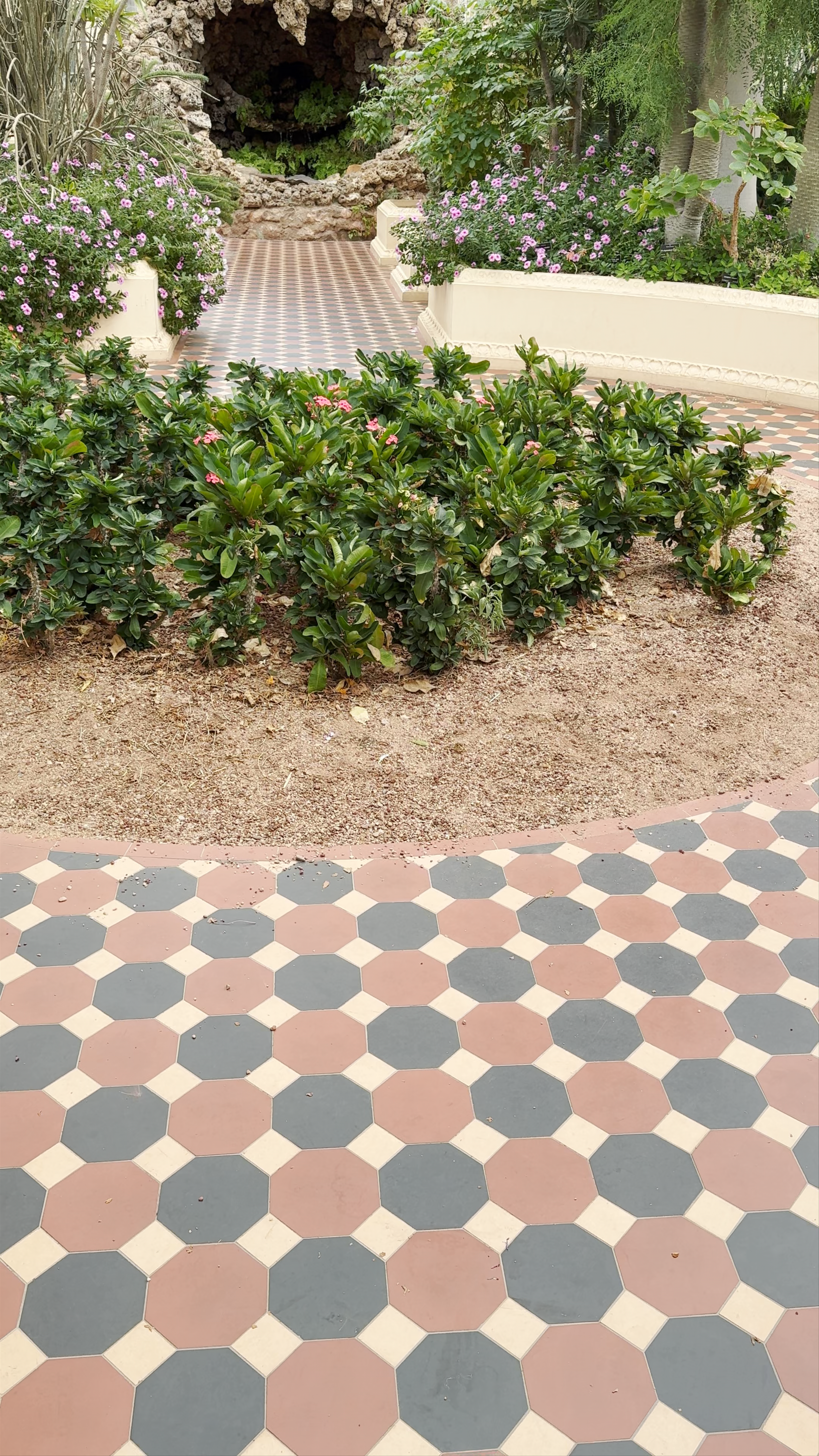 Adelaide Botanic Garden