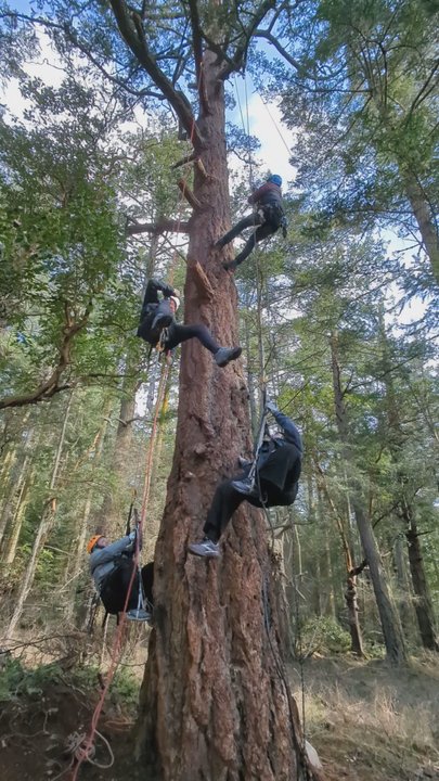 AdventureTerra - Fun and physical experience! - Rock Climbing Near Me
