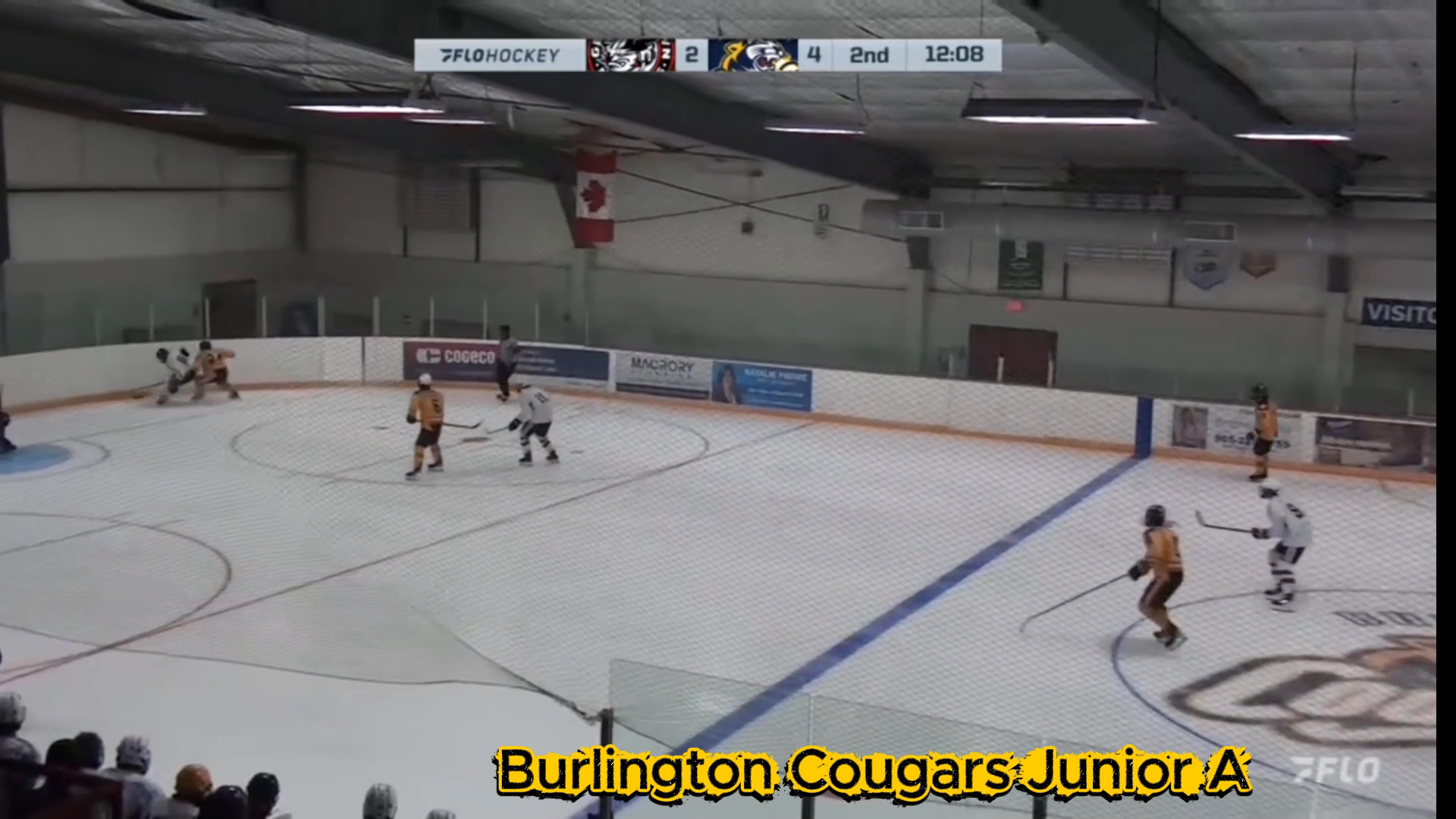 Malcolm McCrae: Defensive Mastery Puck Movement & Skating Skills