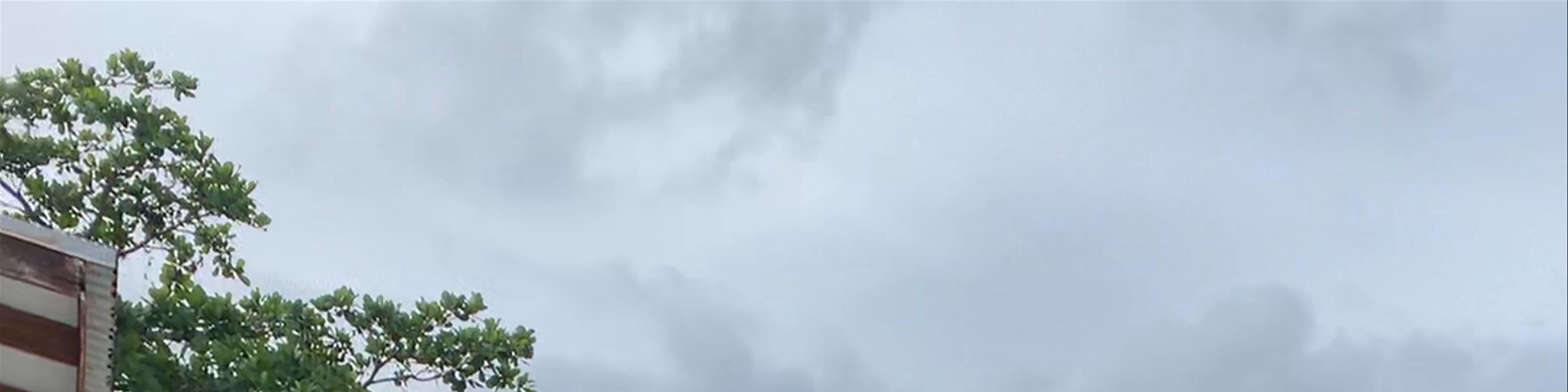 Limón