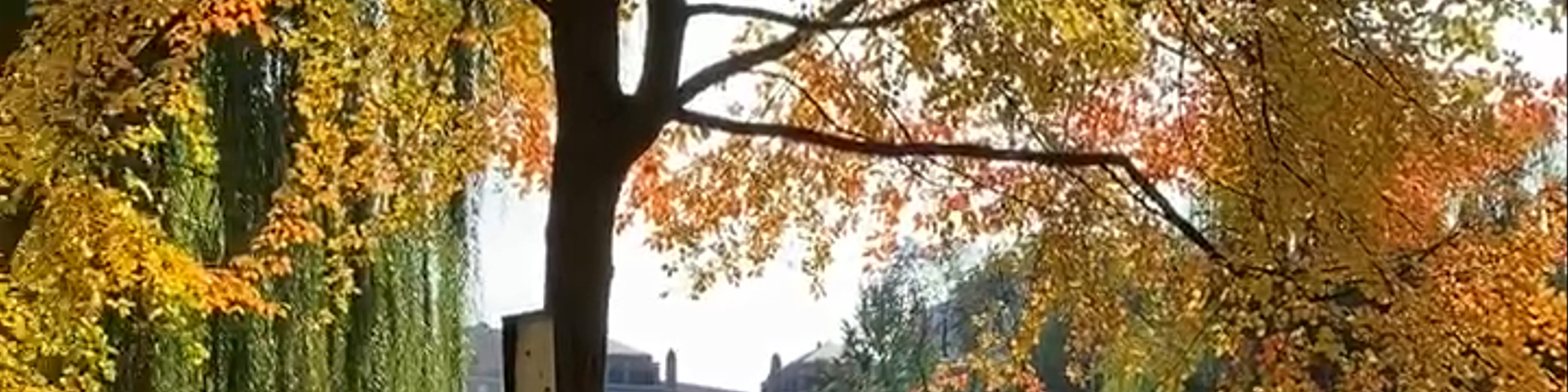 Boston