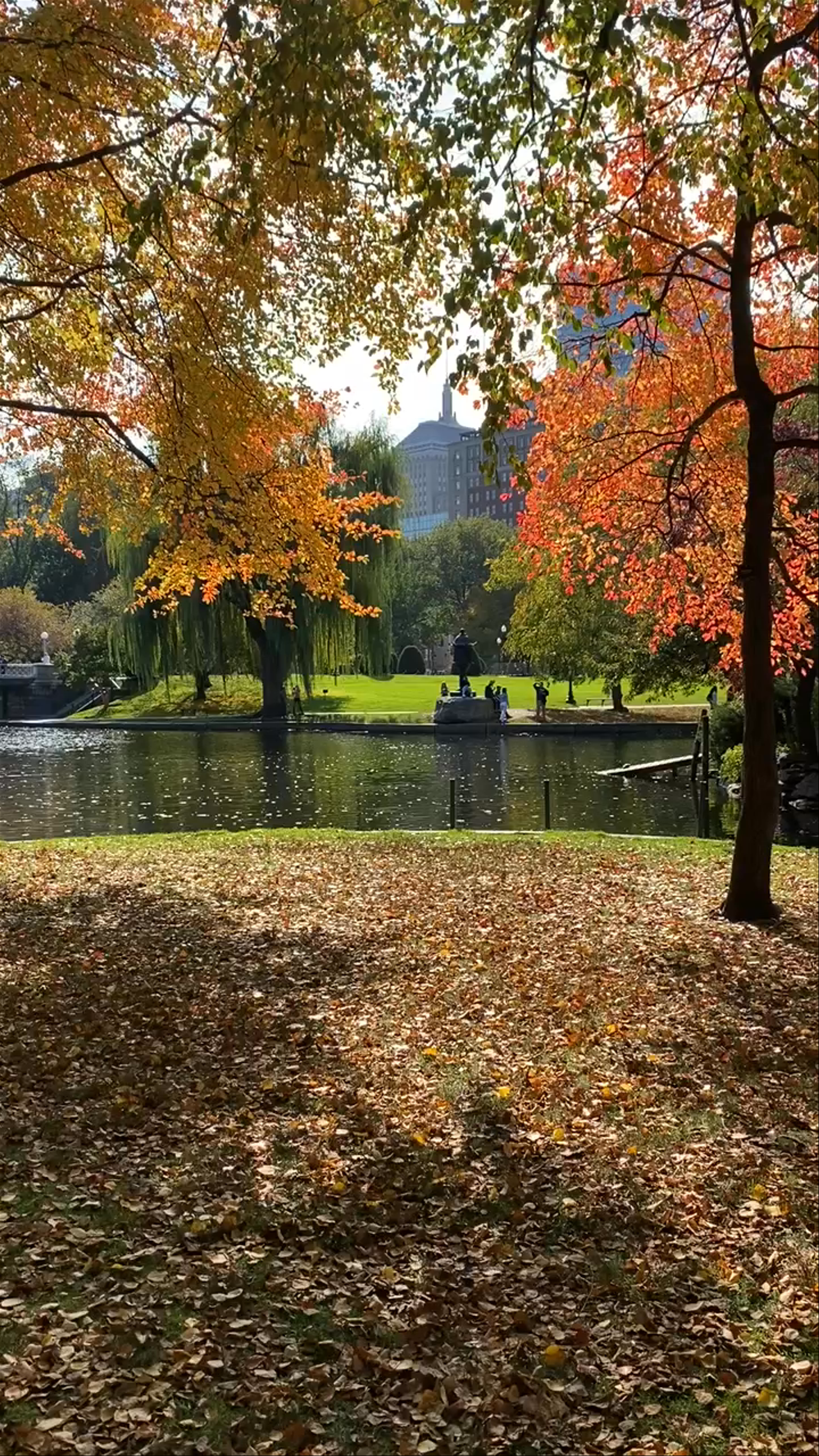 Boston Public Garden
