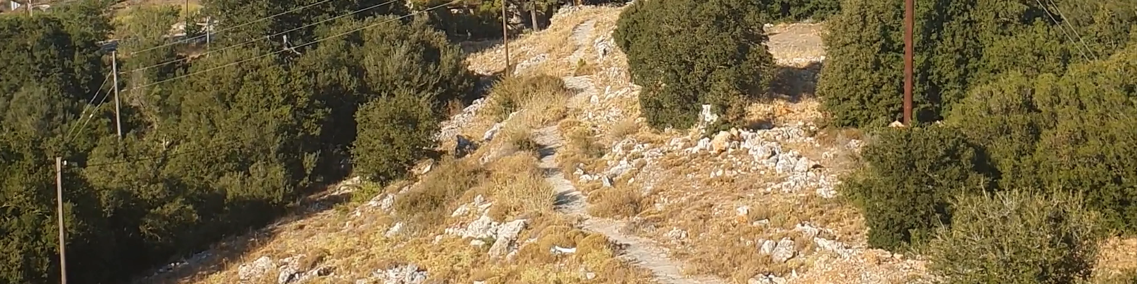 Lasithi Plateau 