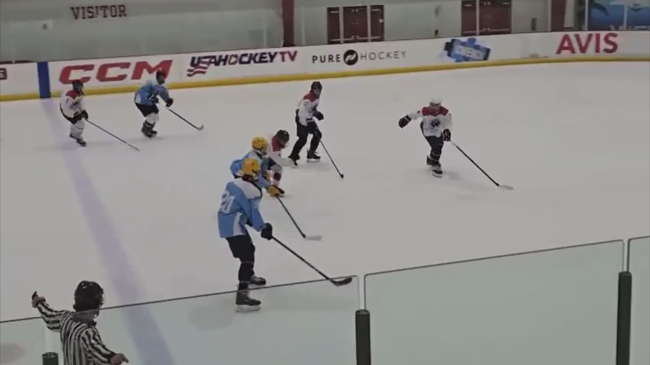 Chase Isrel's Highlight Reel: Goals & Stickhandling Mastery