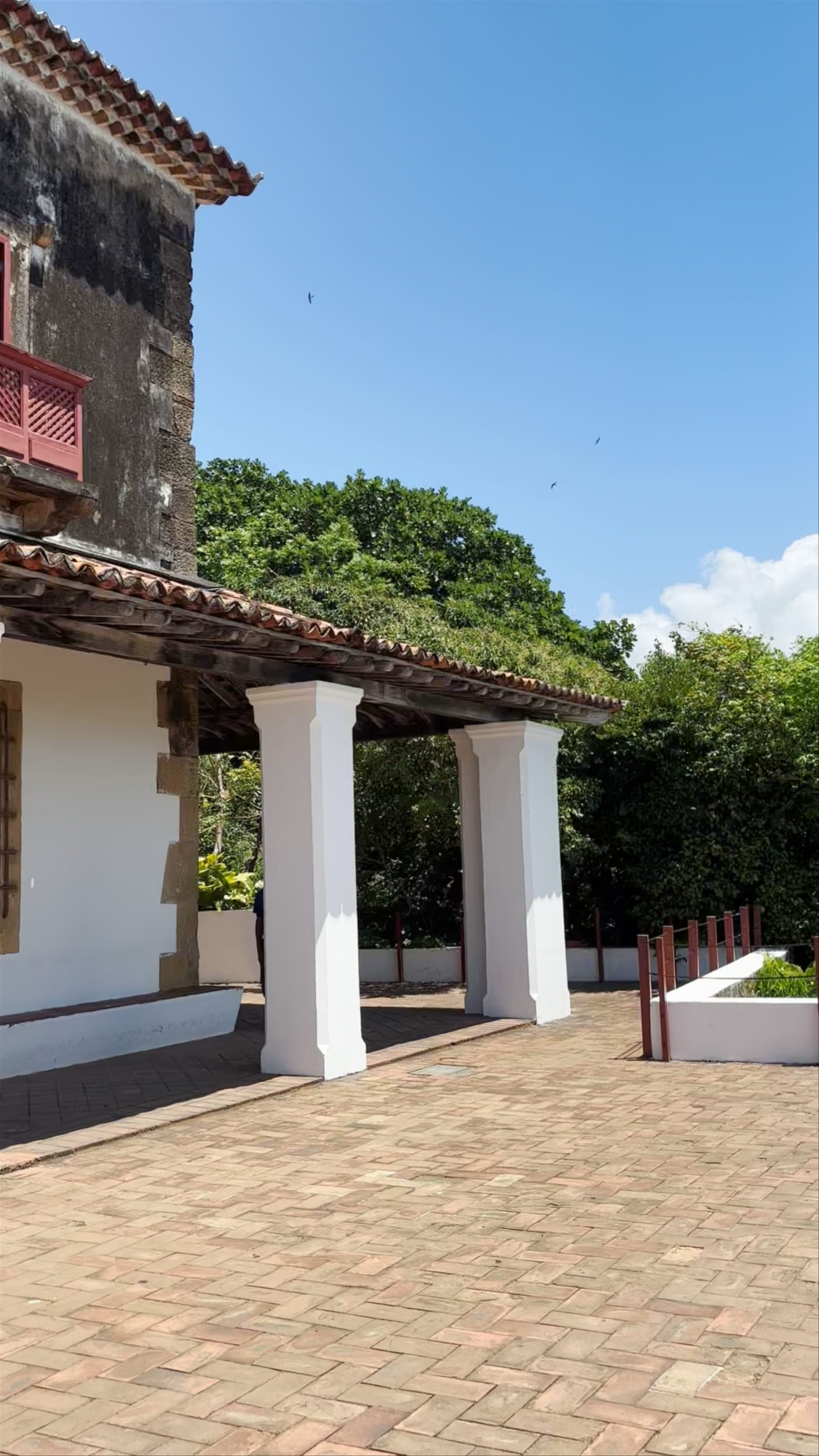 Catedral da Sé São Salvador do Mundo - Rua Bispo Coutinho - Carmo