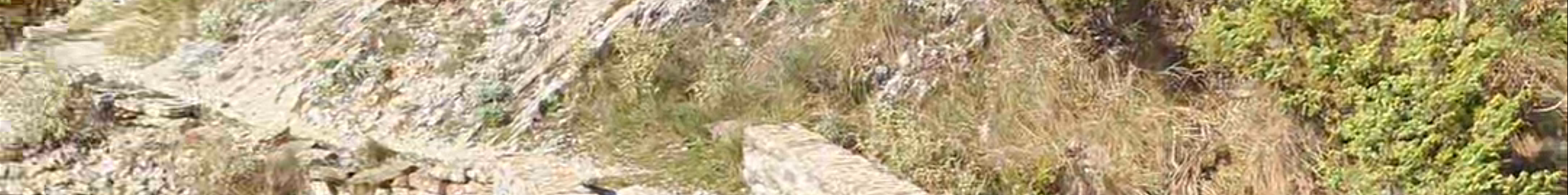 Tours & experiences in Ioánnina