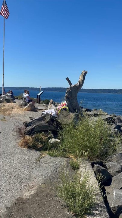 Lincoln Park - Beach View - Parks Near Me - Seattle, Washington