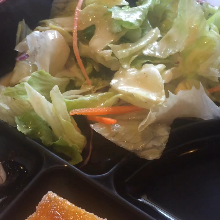 Bento Box - Tofu teriyaki and Thai chicken teriyaki - Japanese Near Me - Sacramento, California