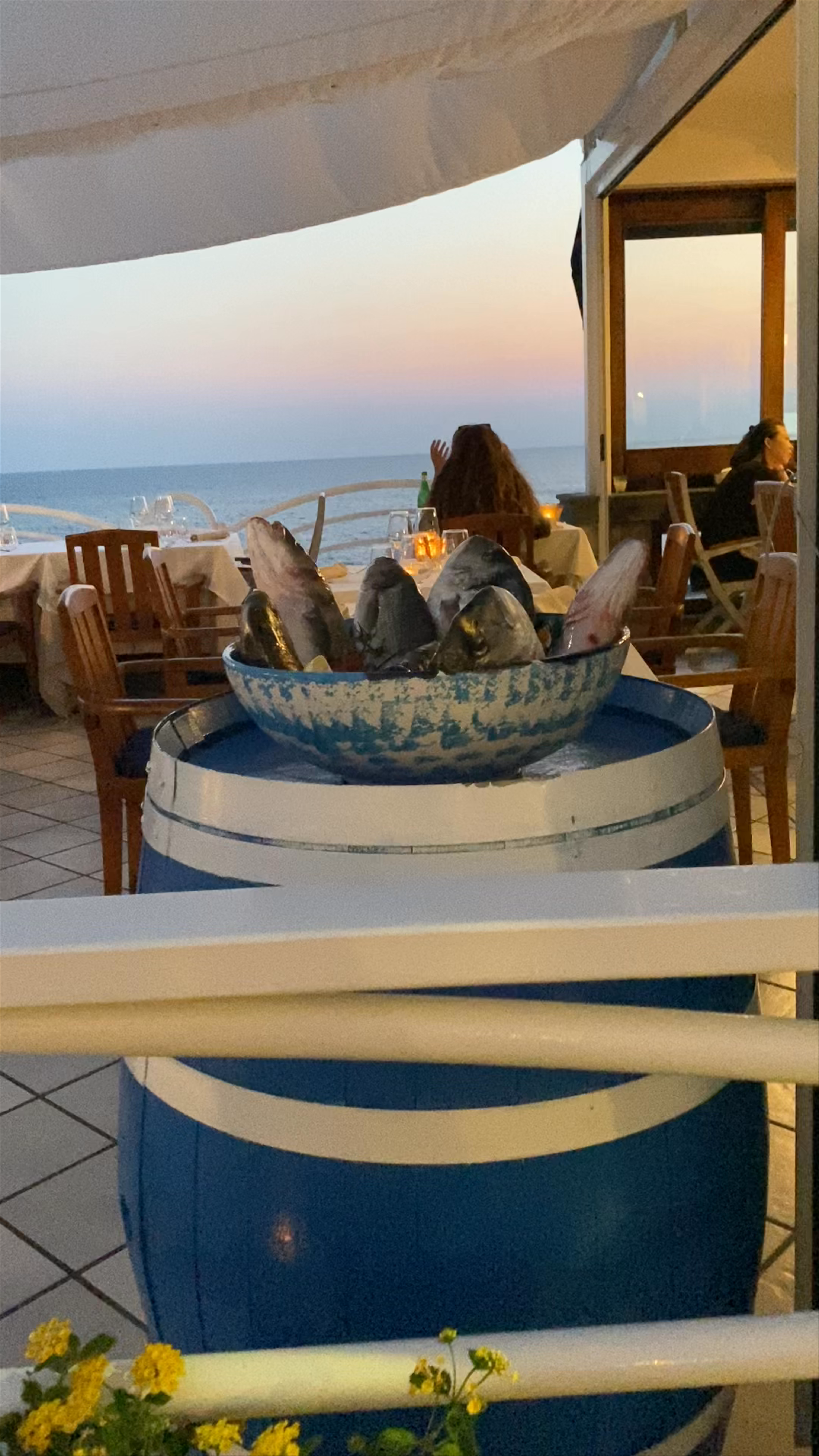Seaside Dining at Miramare, Trieste: Sunset by the Adriatic