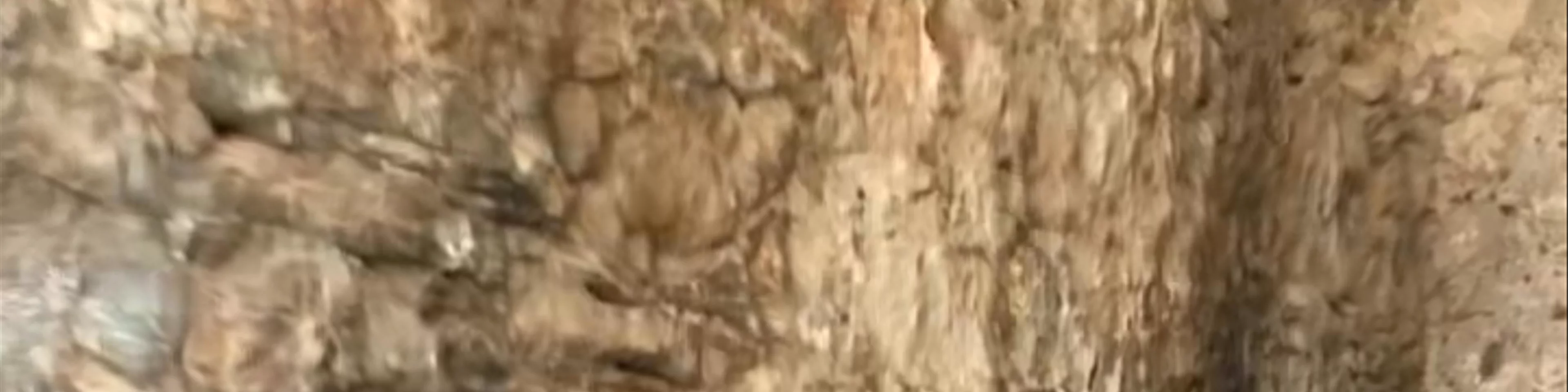 Φρούριο Παλαμηδίου