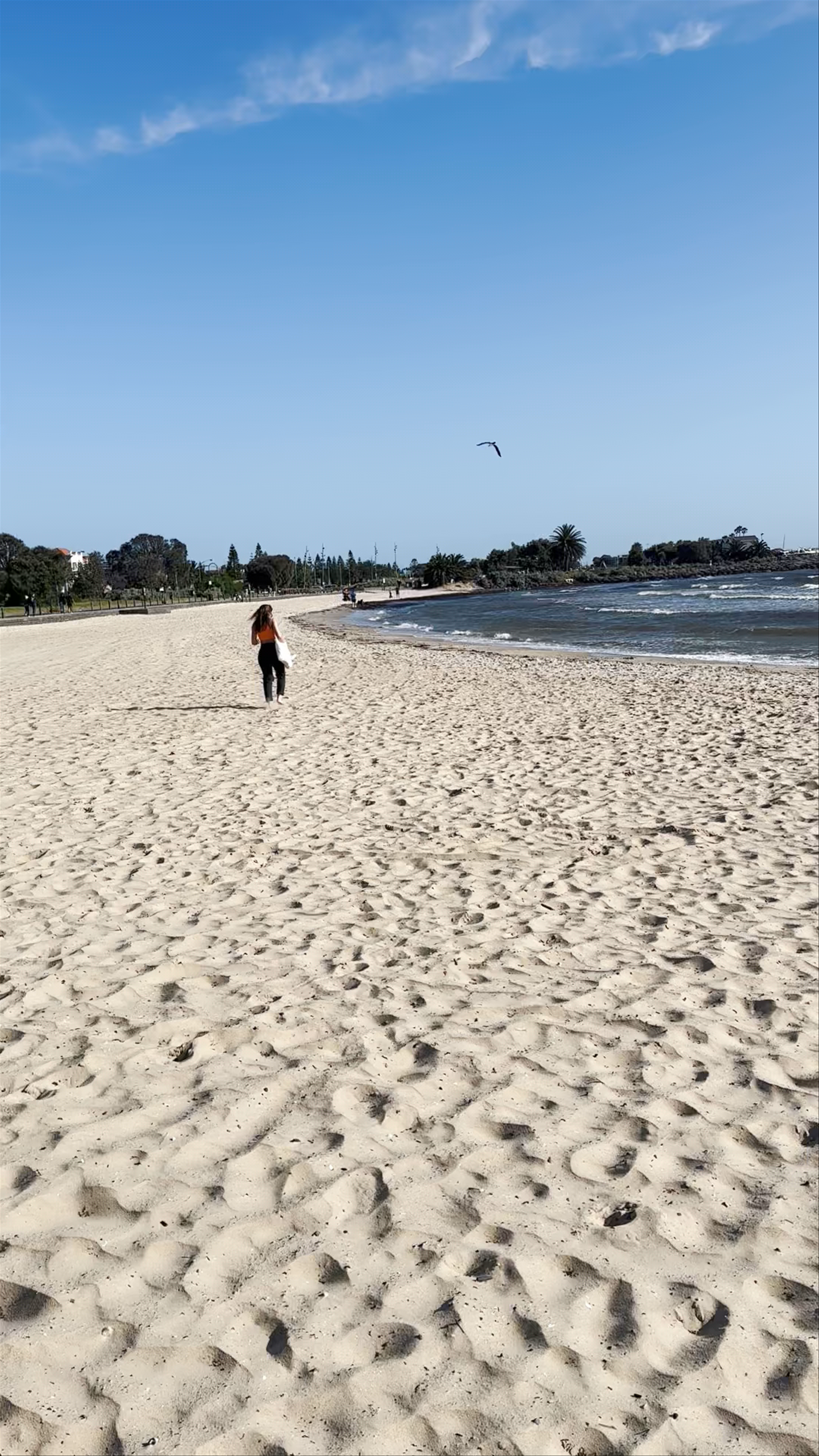 St Kilda beach