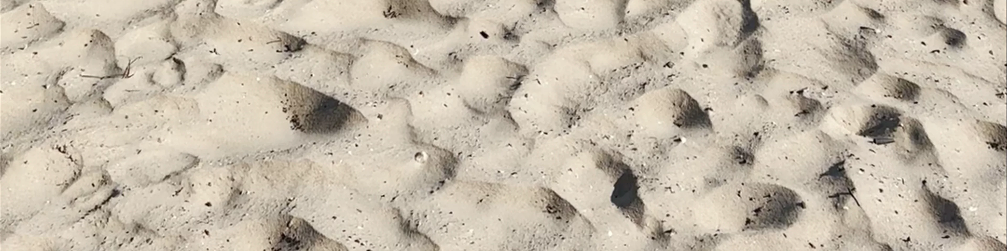 St Kilda beach