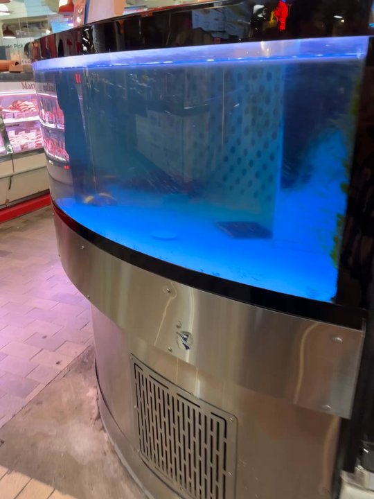 John Yi Fish Market - Catching the lobster - Seafood Markets Near Me - Philadelphia, Pennsylvania