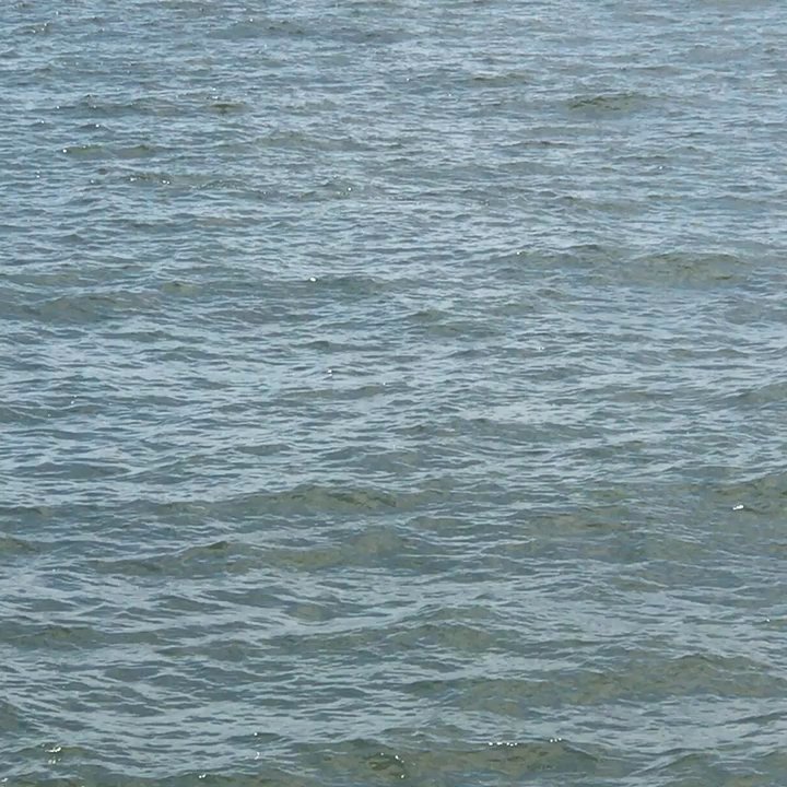 Starlight Fleet - Boating Near Me - Wildwood, New Jersey