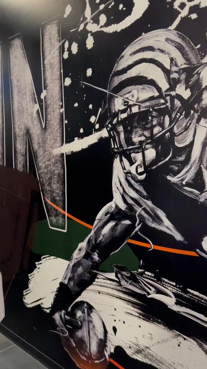 NFL - Great artists' work - Professional Sports Teams Near Me - Inglewood, California