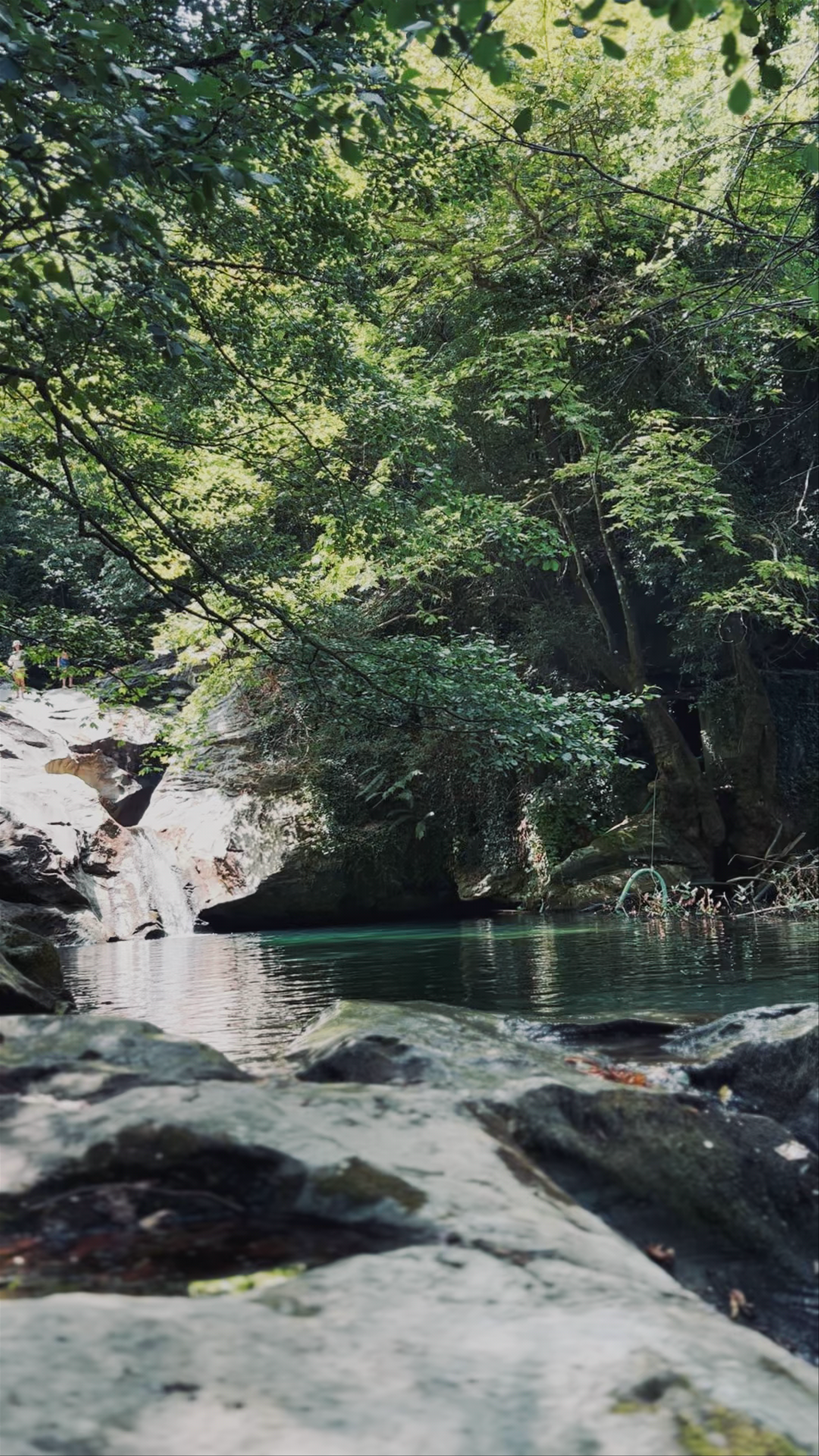 Stream at Poros