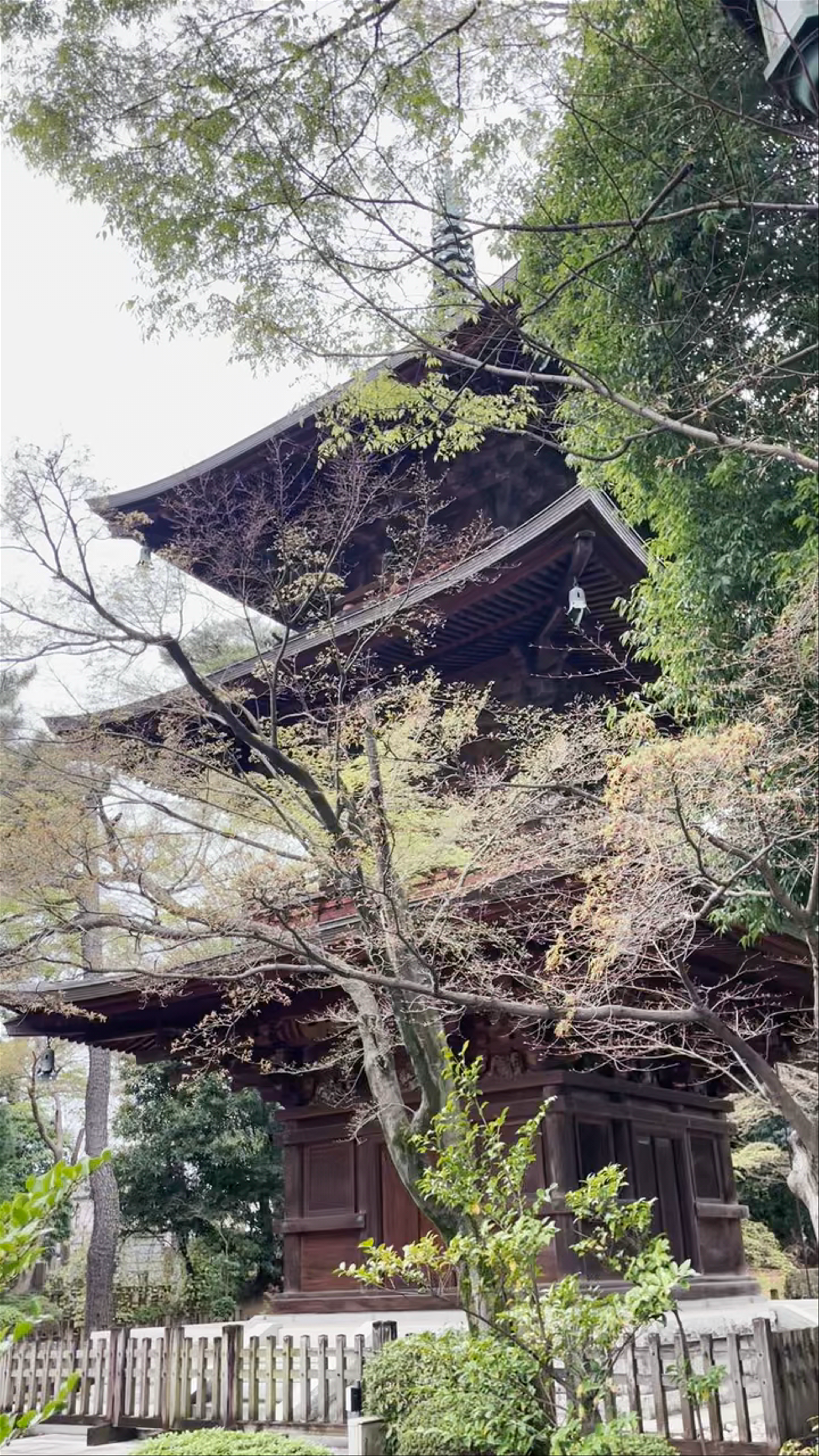 Gōtokuji Temple