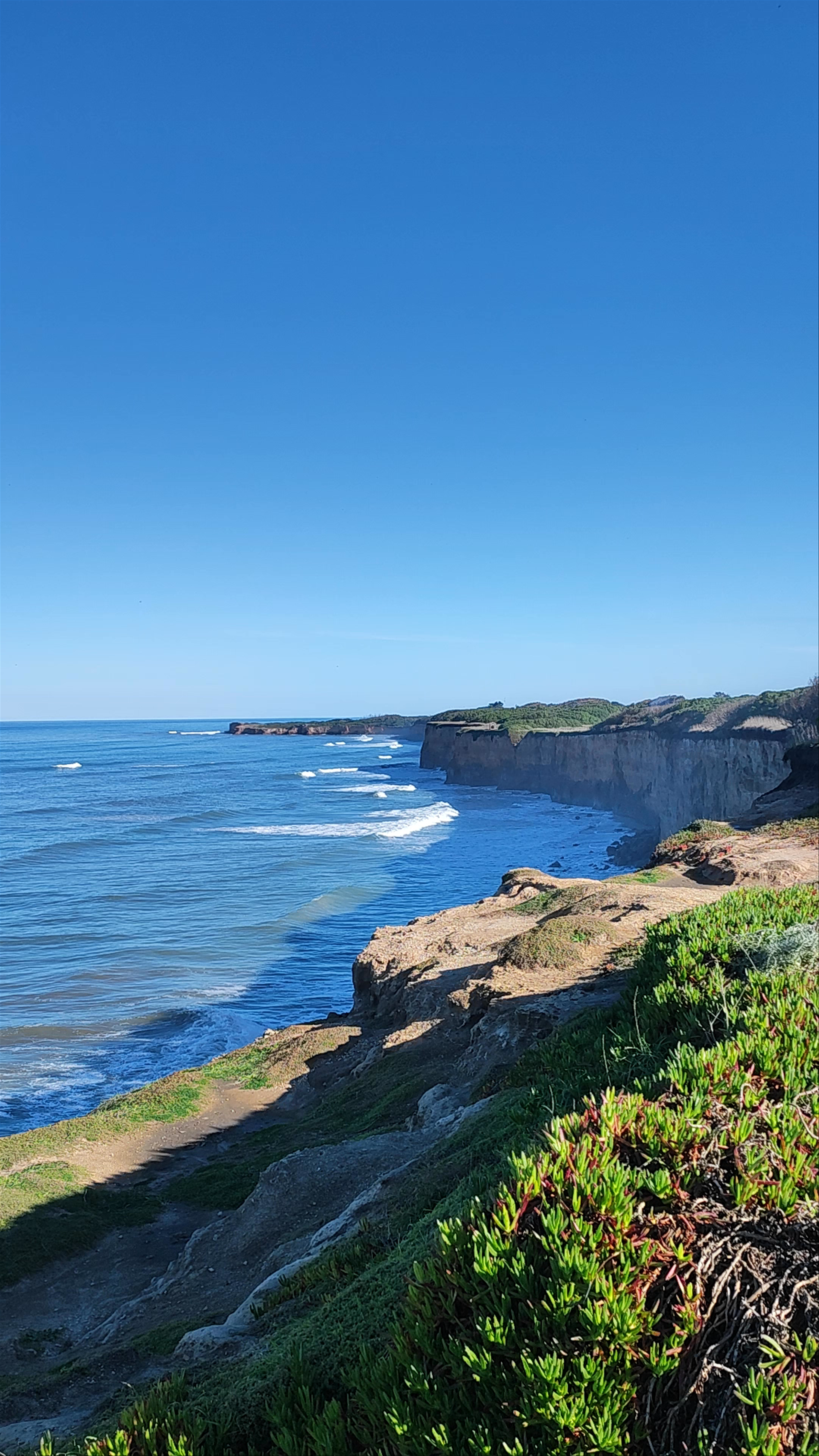 Sea lion reserve of the port of Mar del Plata