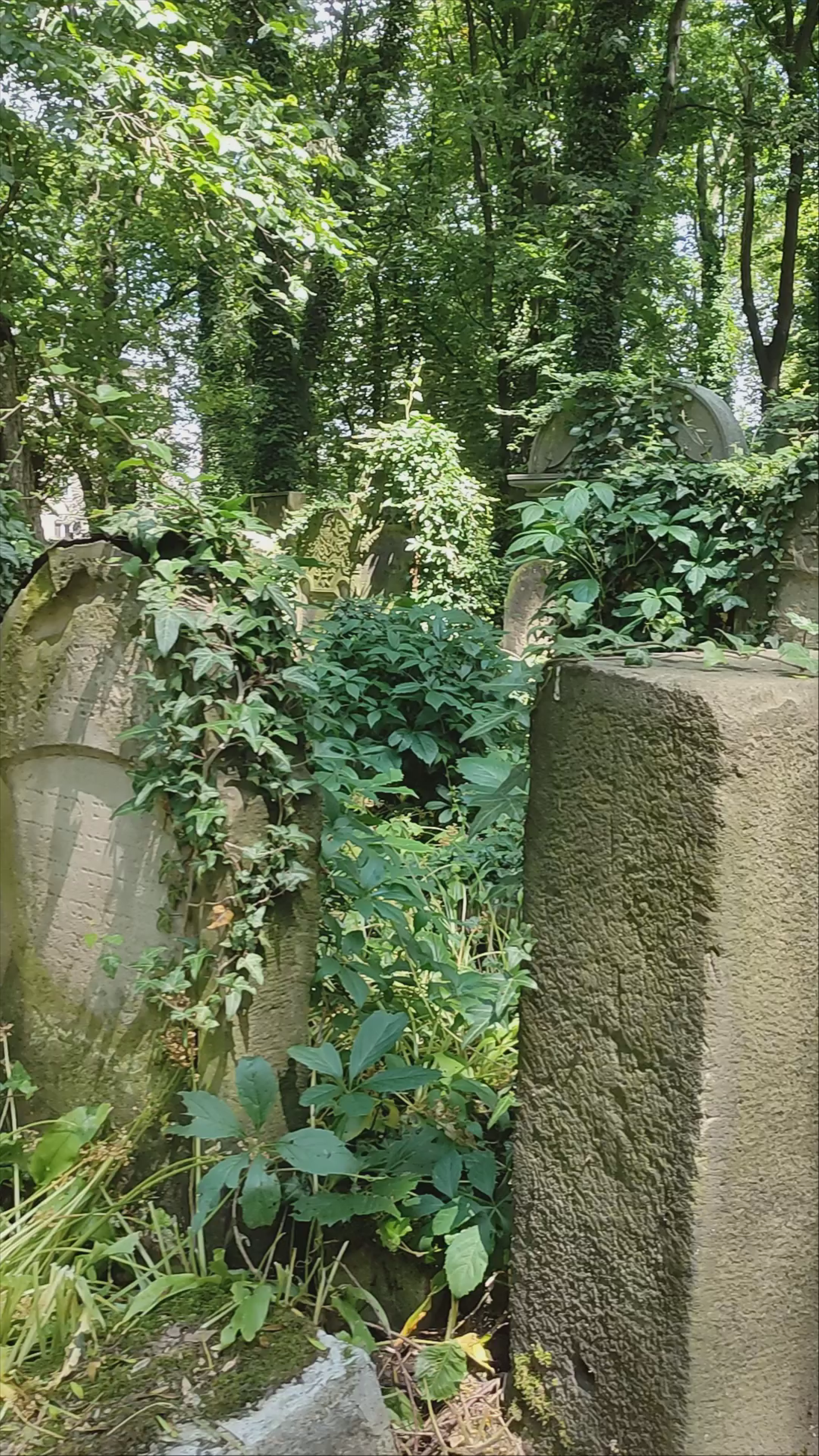 Krakow New Jewish Cemetery: A Green Sanctuary of History