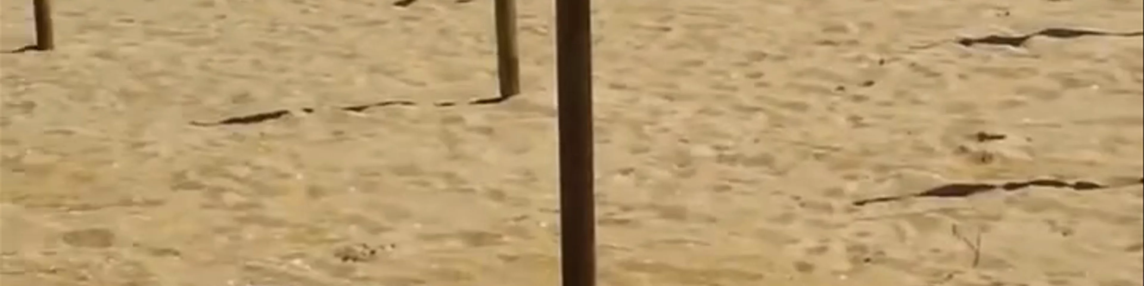 Praia da Falésia