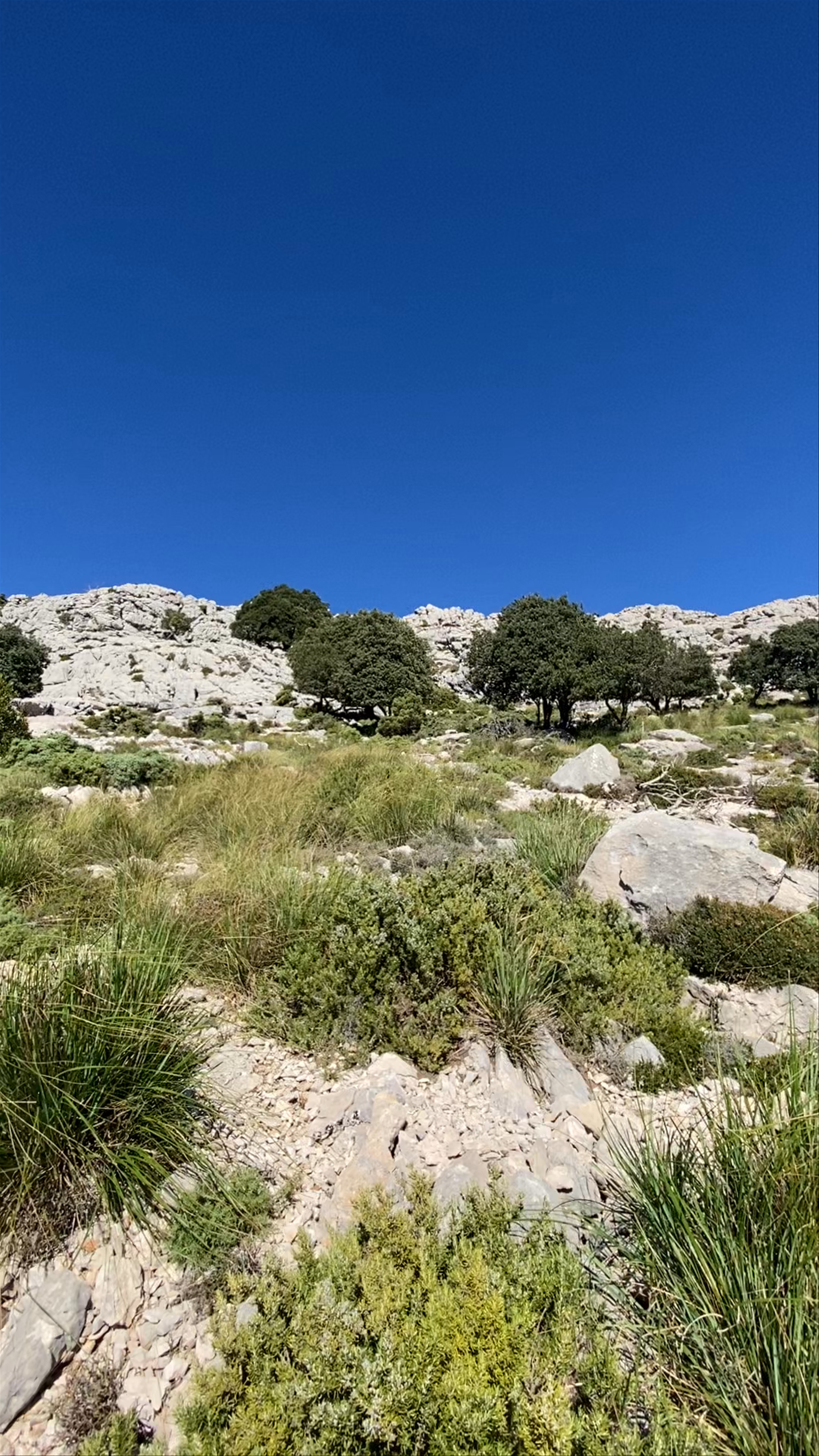 Puig de Massanella