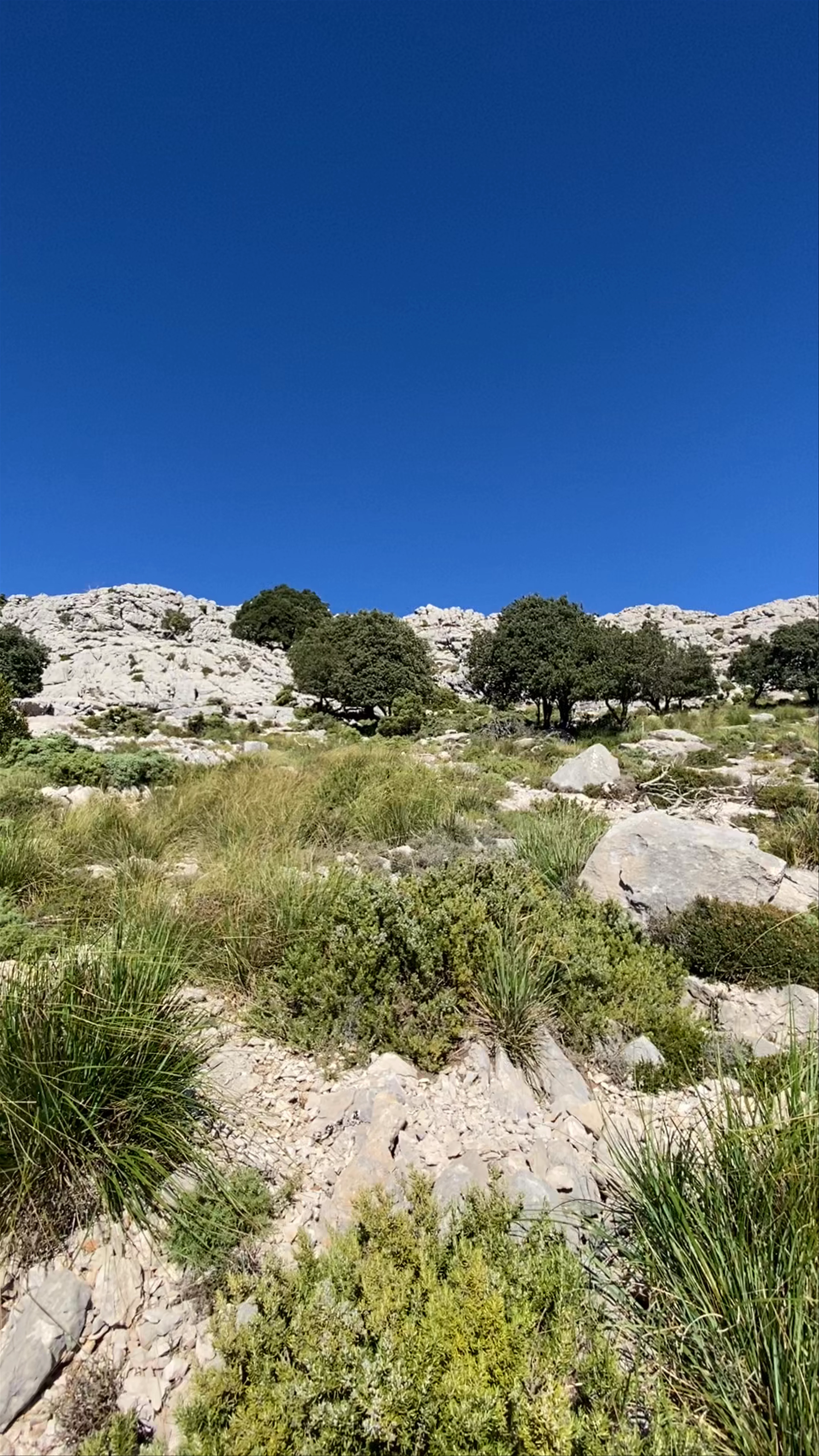 Puig de Massanella