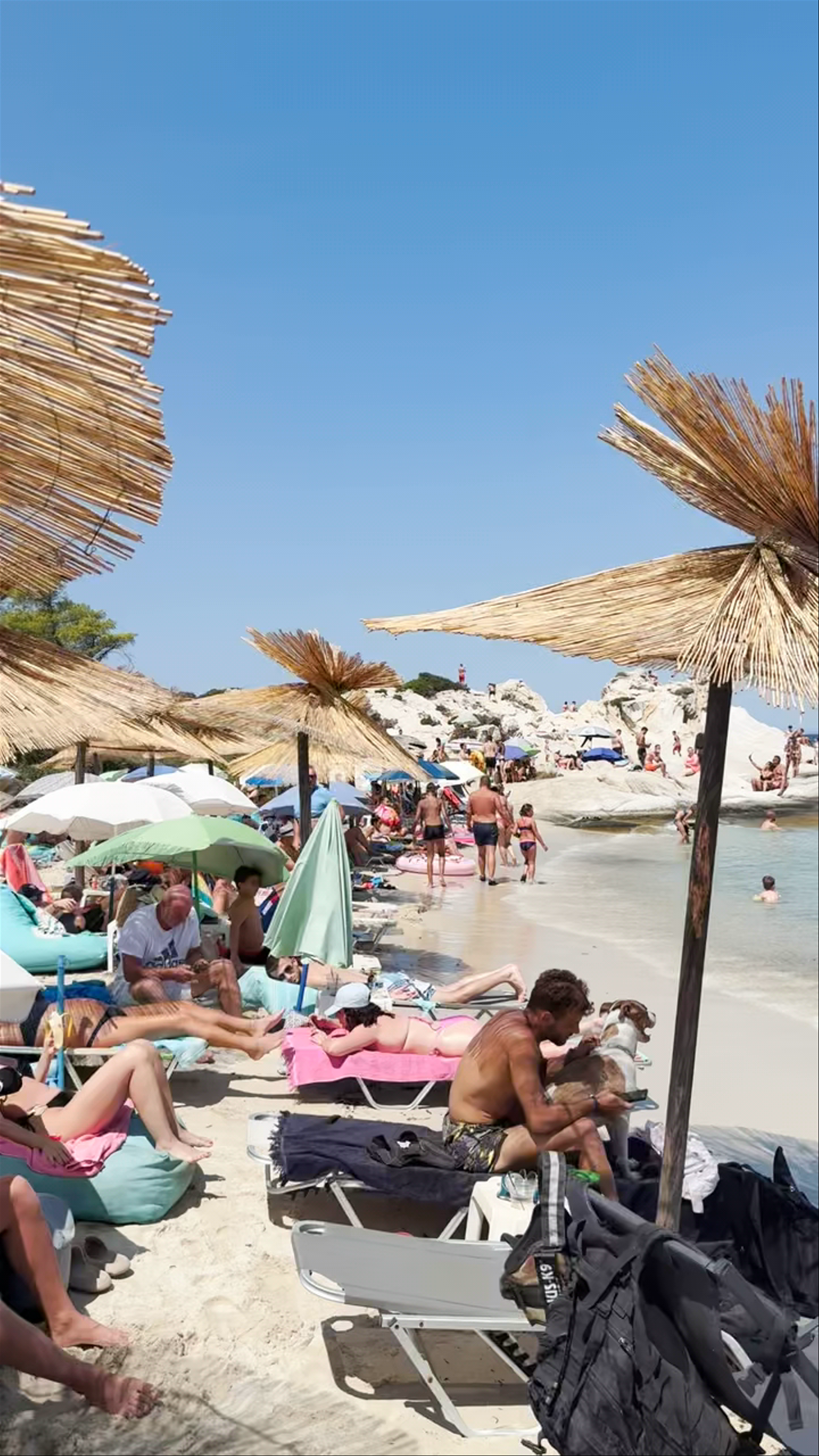 Orange Beach Bar