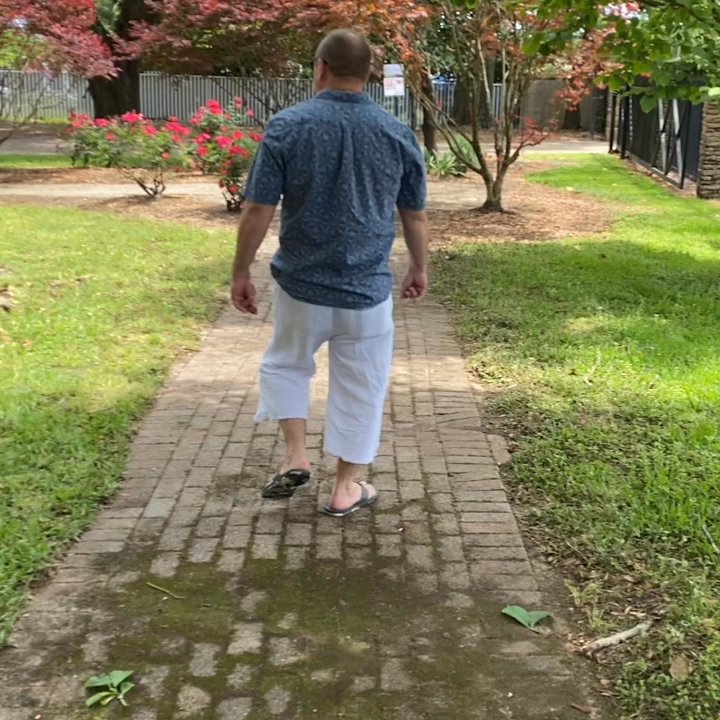 Woerner - Following the path.. - Nurseries & Gardening Near Me - Pensacola, Florida