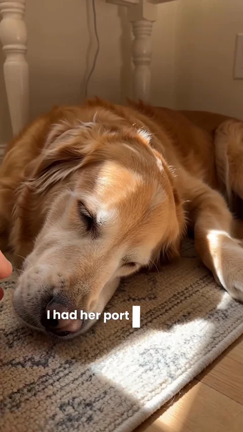 Pet Moment While She's Still Here | UGC