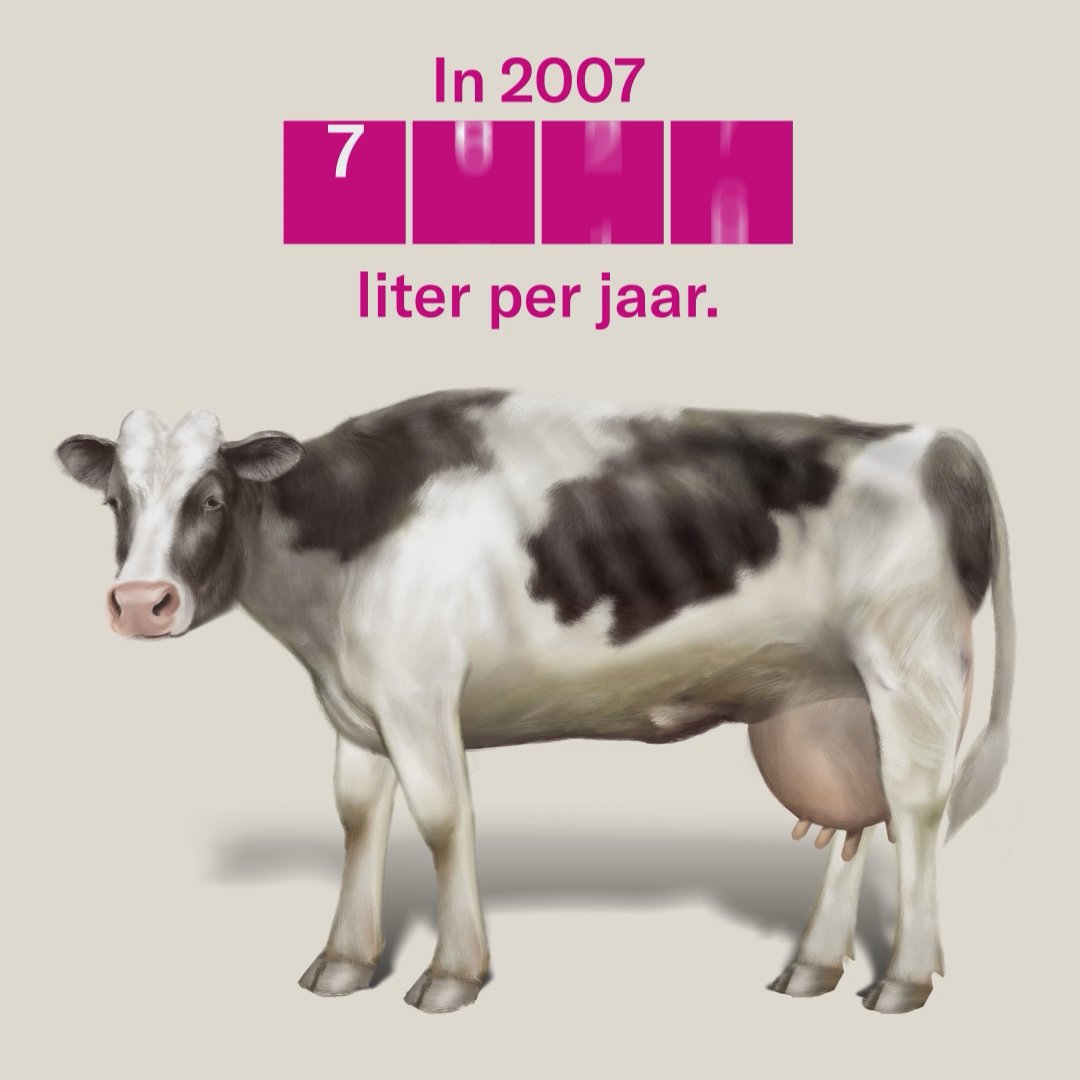 Koe door de jaren heen