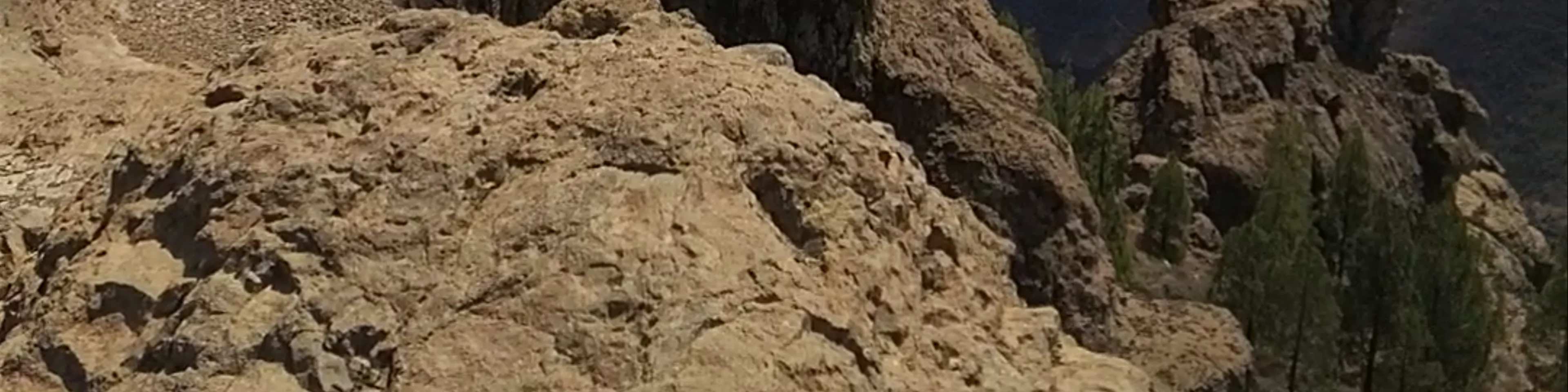 Pico de las Nieves