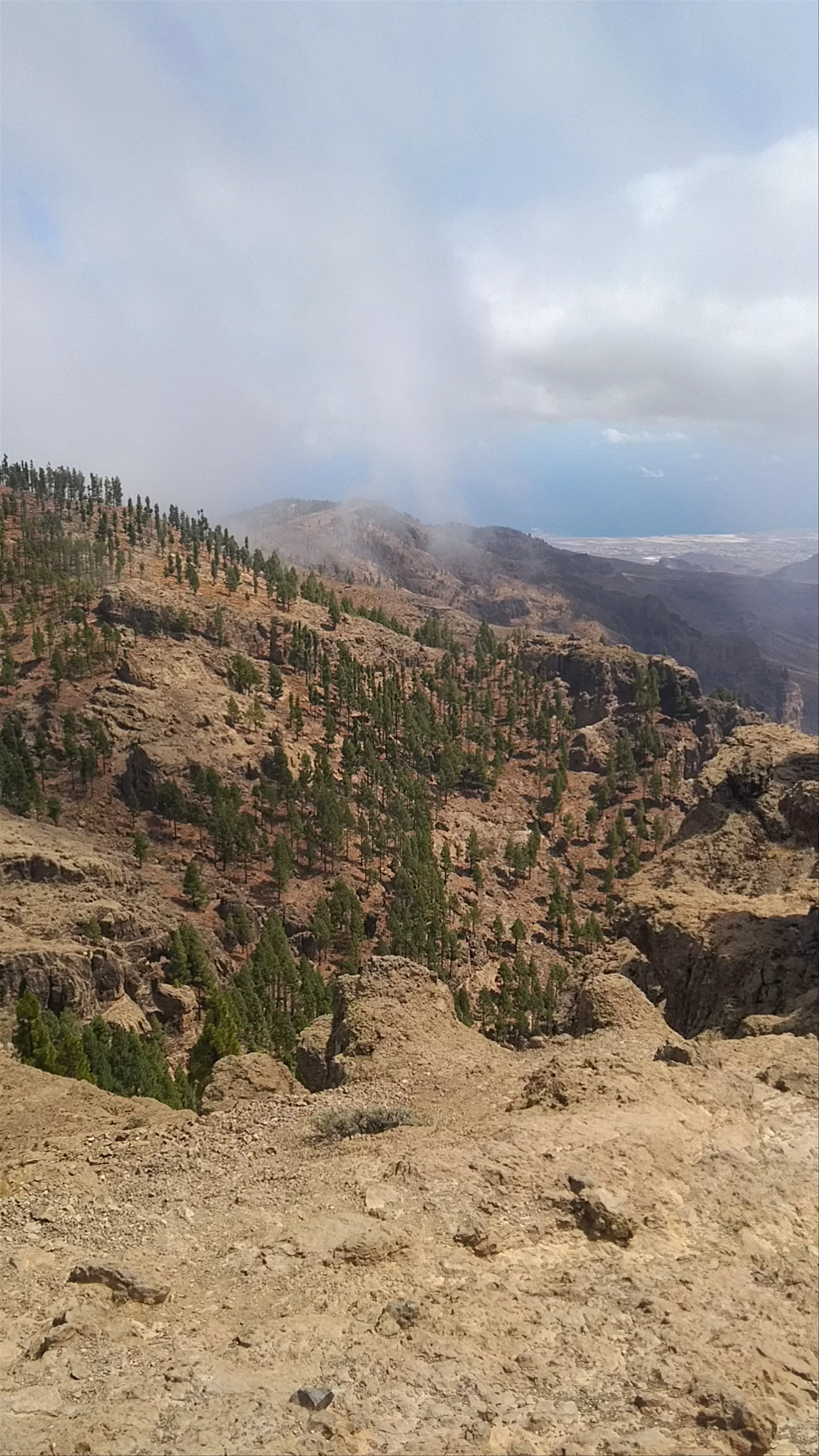 Pico de las Nieves