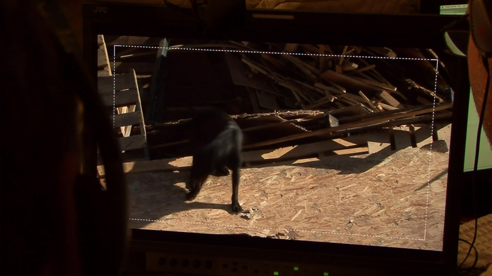 Two dogs navigate a pile of construction debris while a handler observes their performance on a monitor during a field training exercise.
