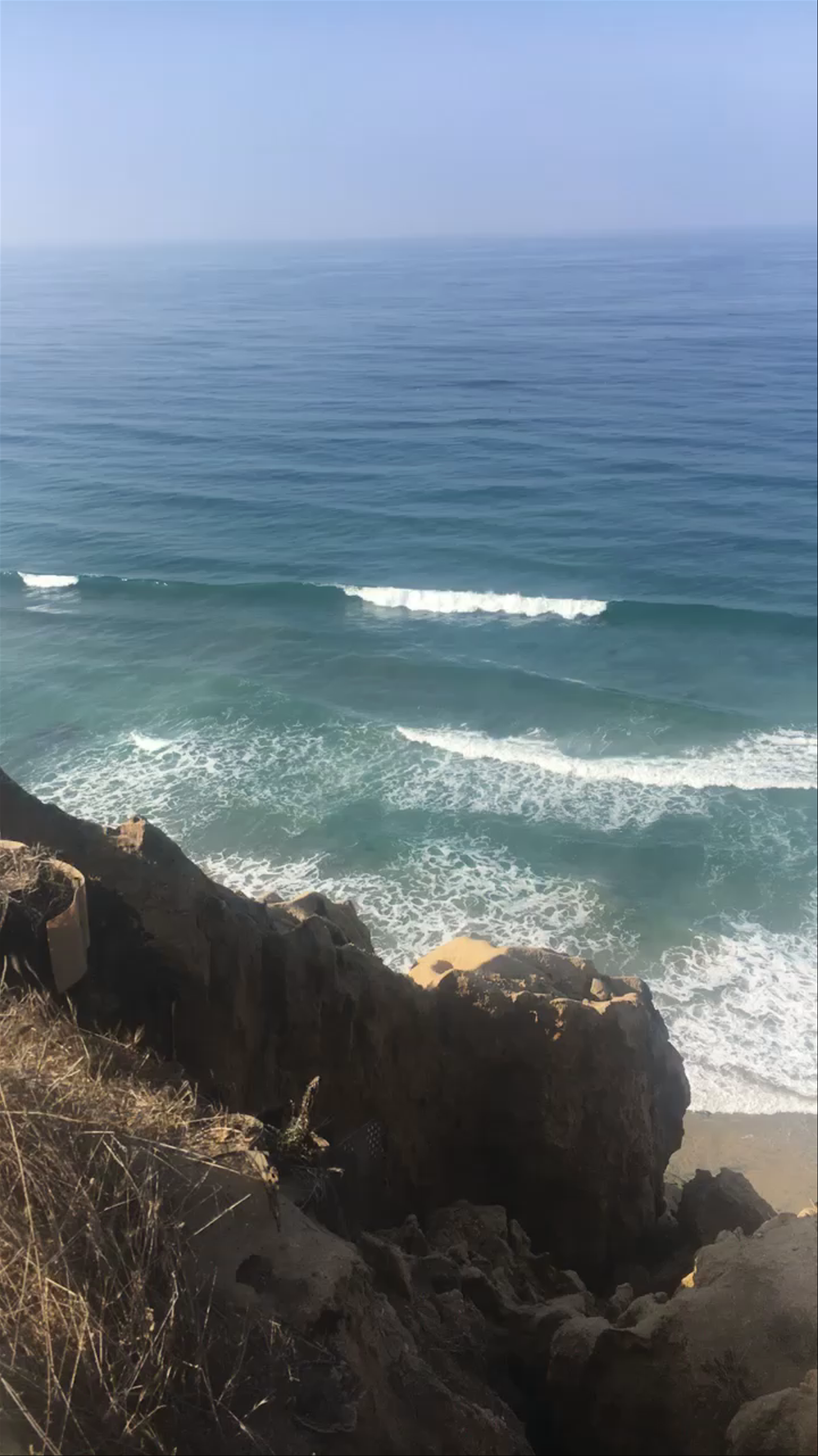 Torrey Pines