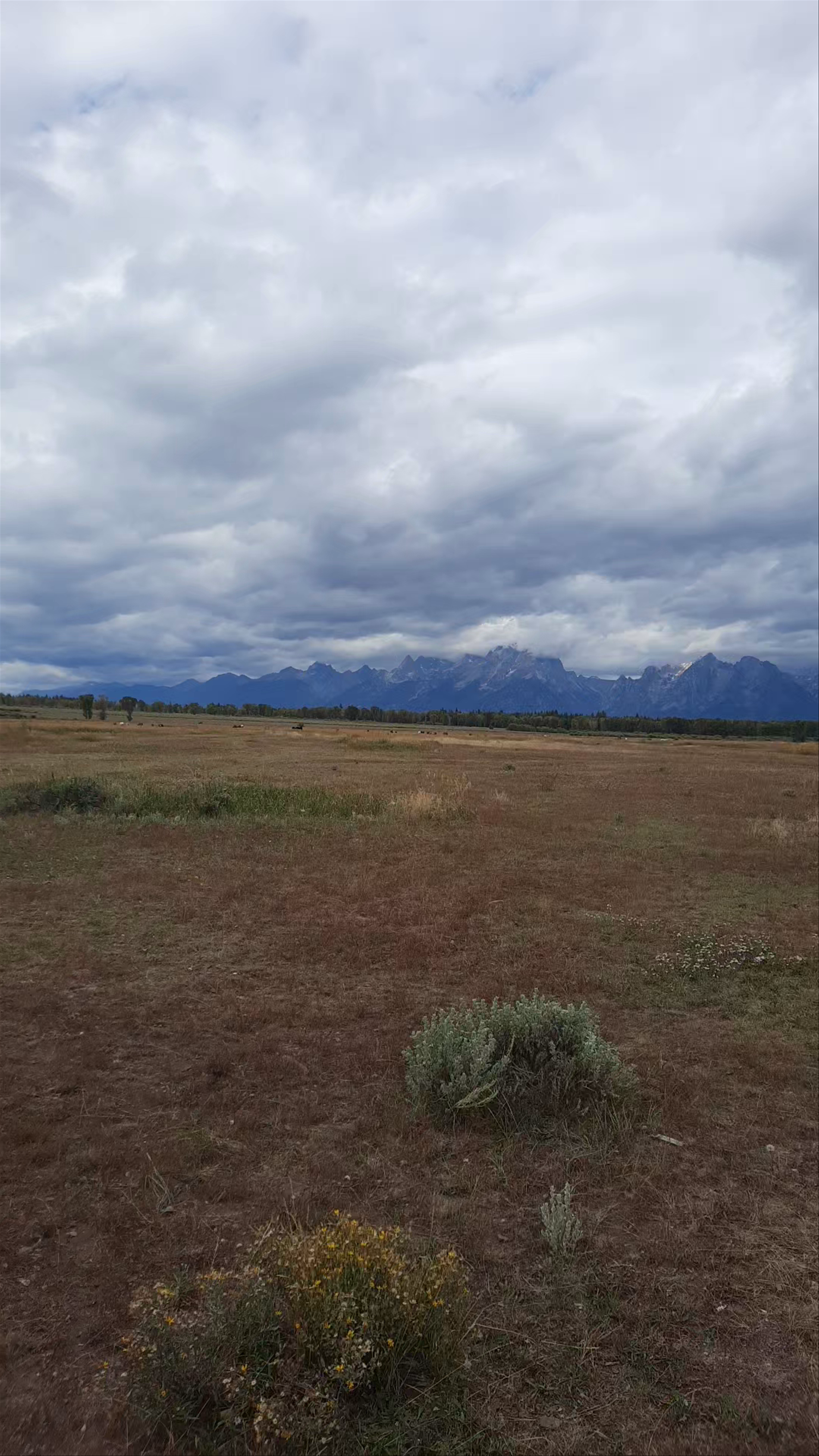 Grand Tetons