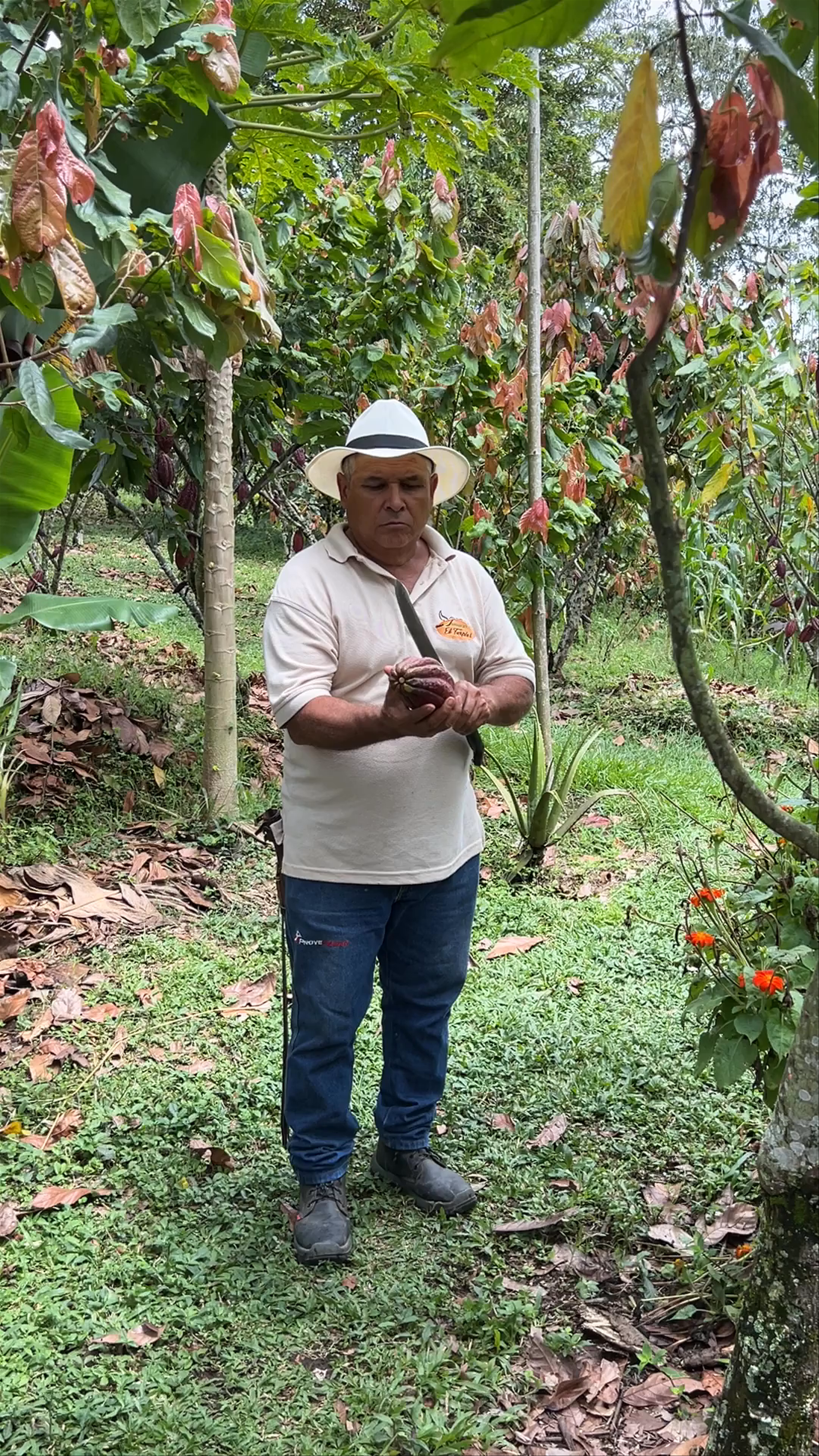 Finca El Turpial - Tour Chocolate