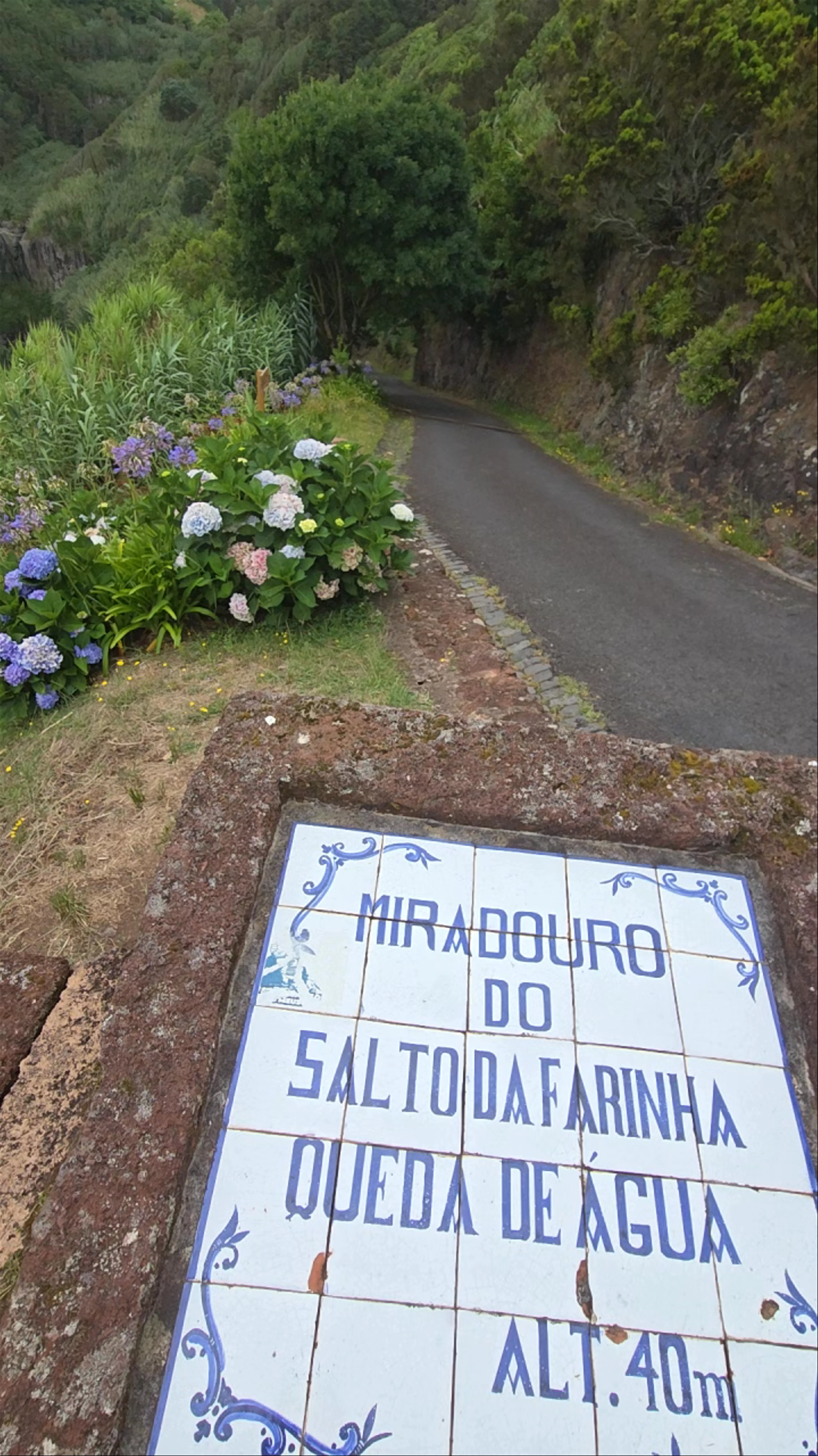 Freixo de Espada à Cinta