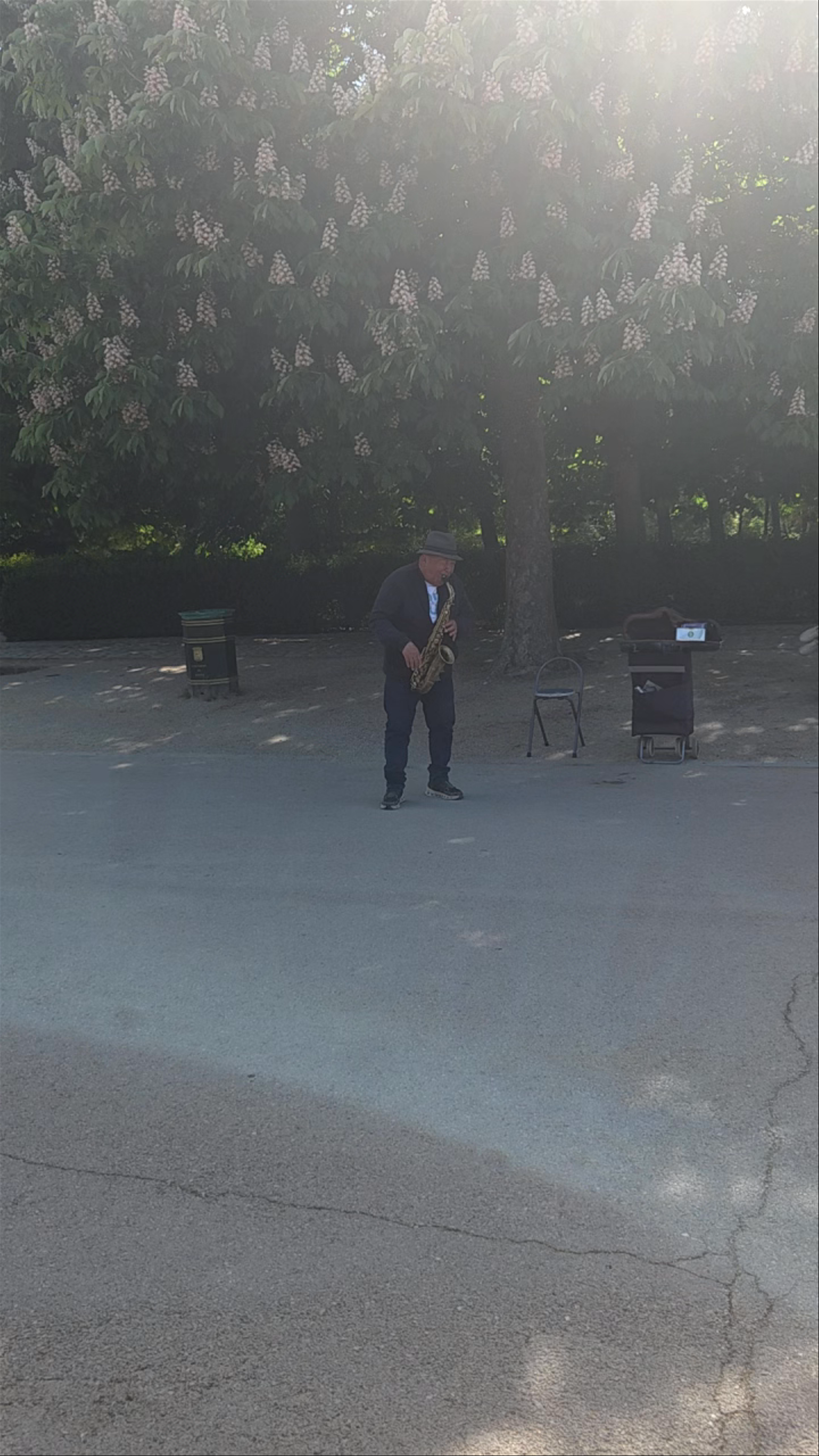 Soulful Saxophone Serenade at Fuente de la Alcachofa, Retiro Park, Madrid
