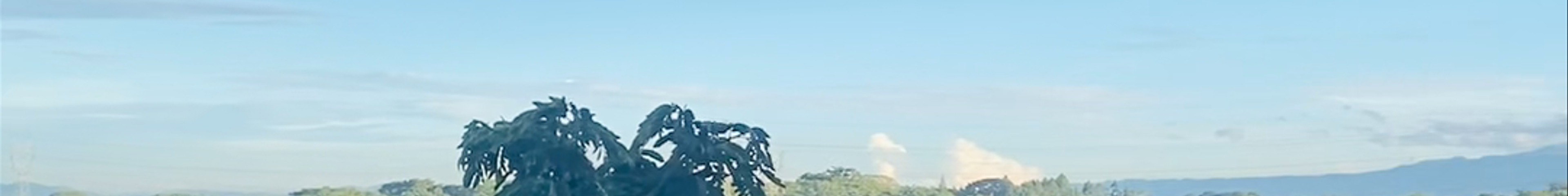 Tours & experiences in San José