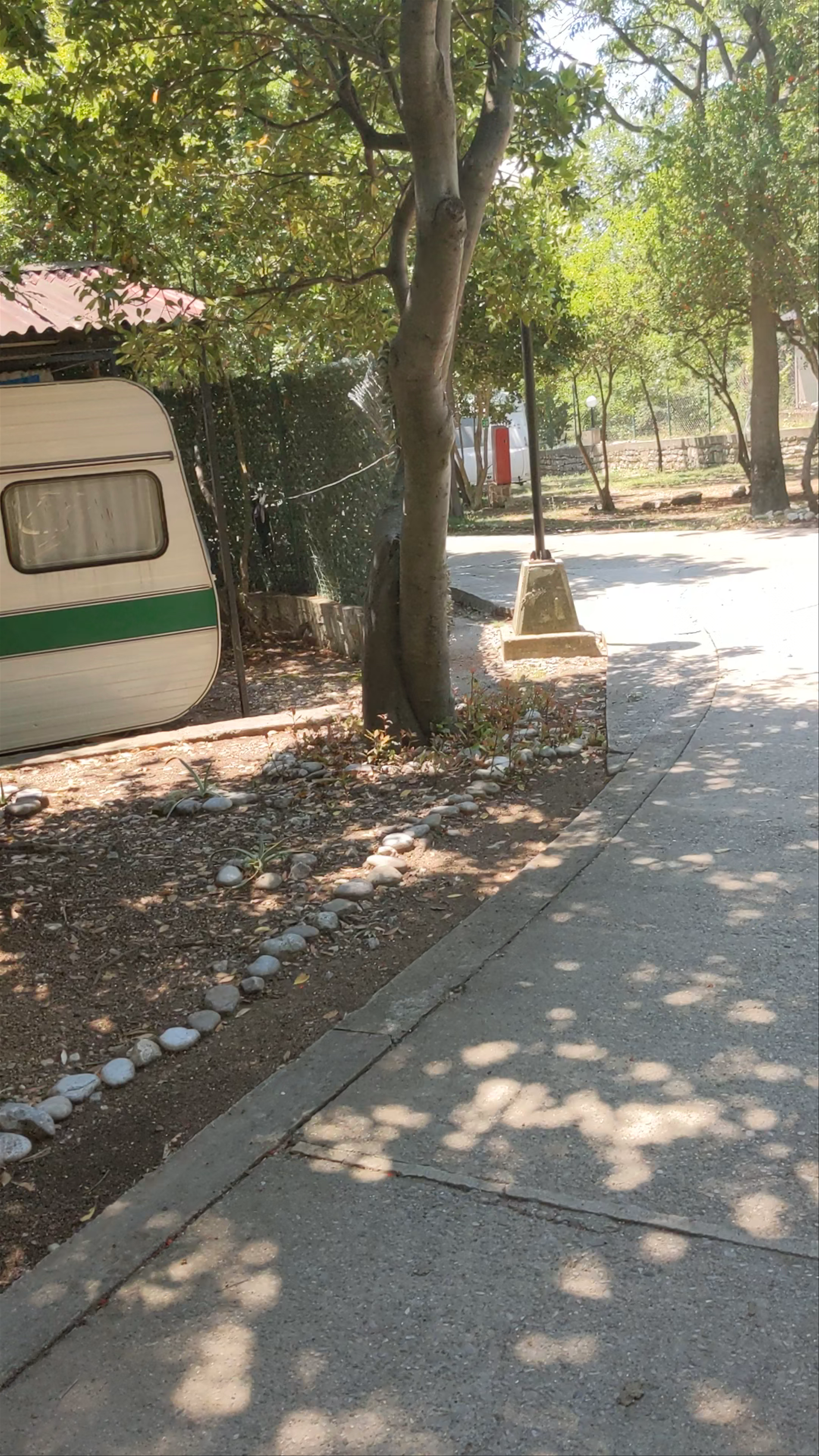 Camping Maslina: Serene Nature Escape in Petraovac, Montenegro