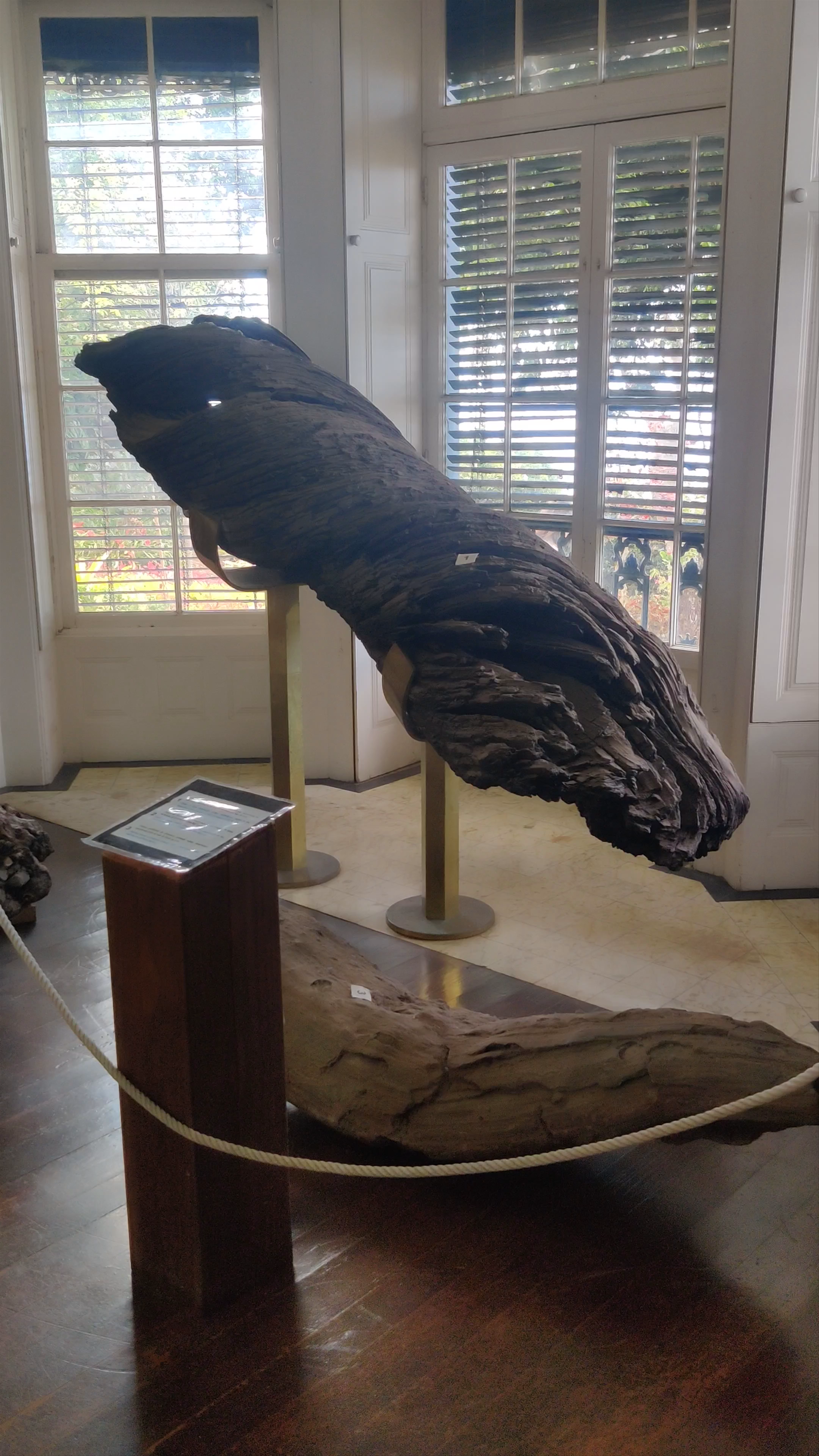 Natural Botanical Museum