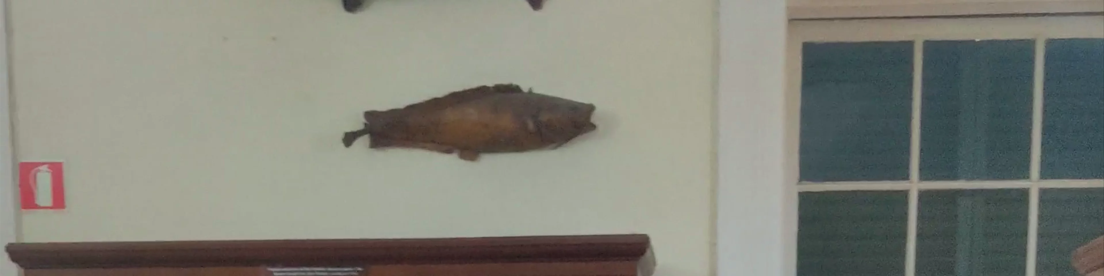 Natural Botanical Museum