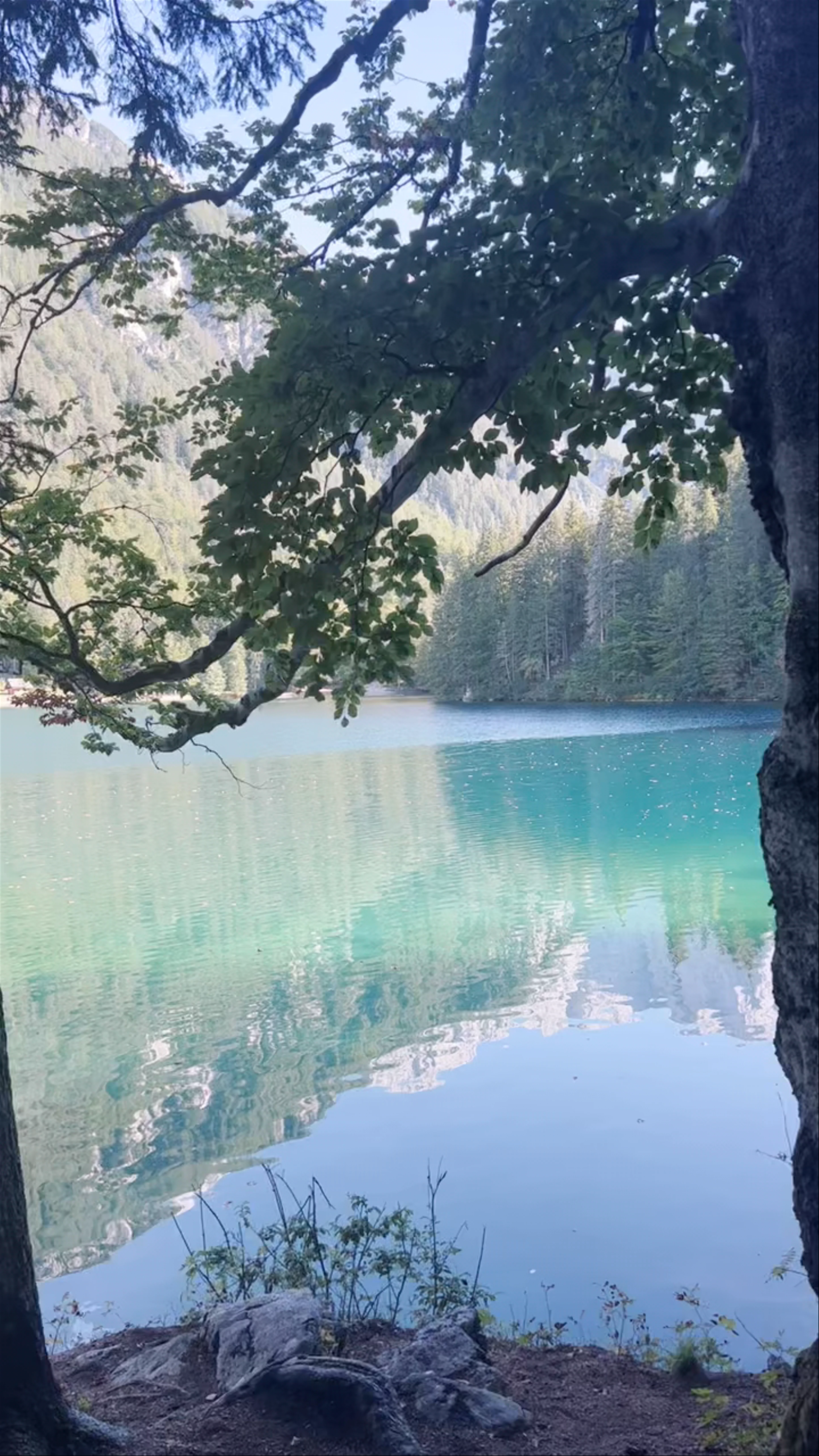 Laghi di Fusine, Tarvisio, Province of Udine, Italy