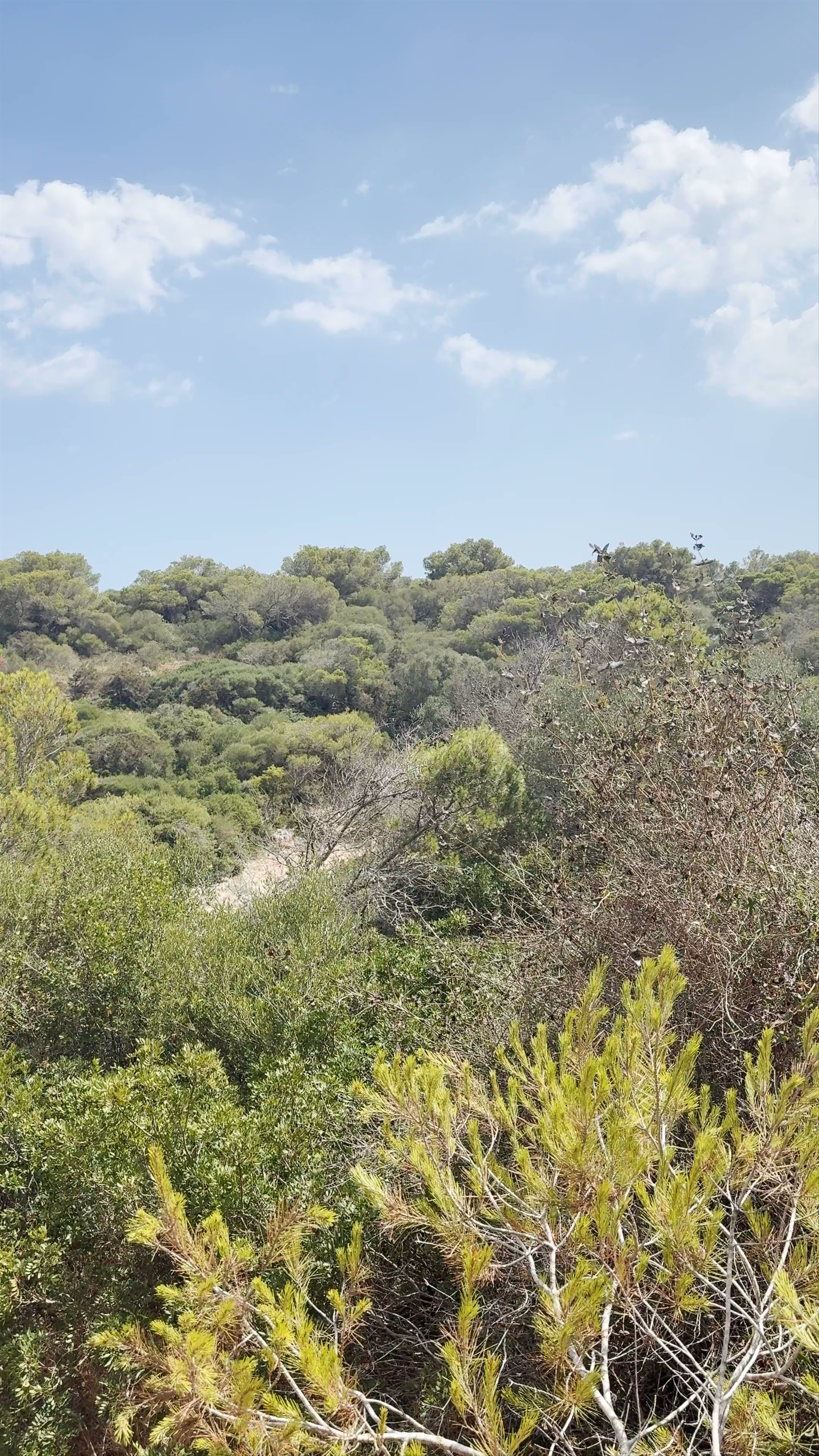 Cala Brafi