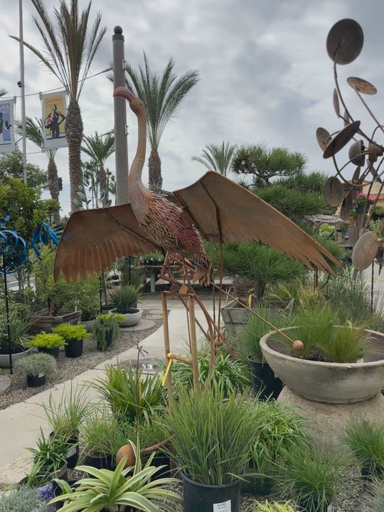 Dana Point Nursery - Nurseries & Gardening Near Me - Dana Point, California