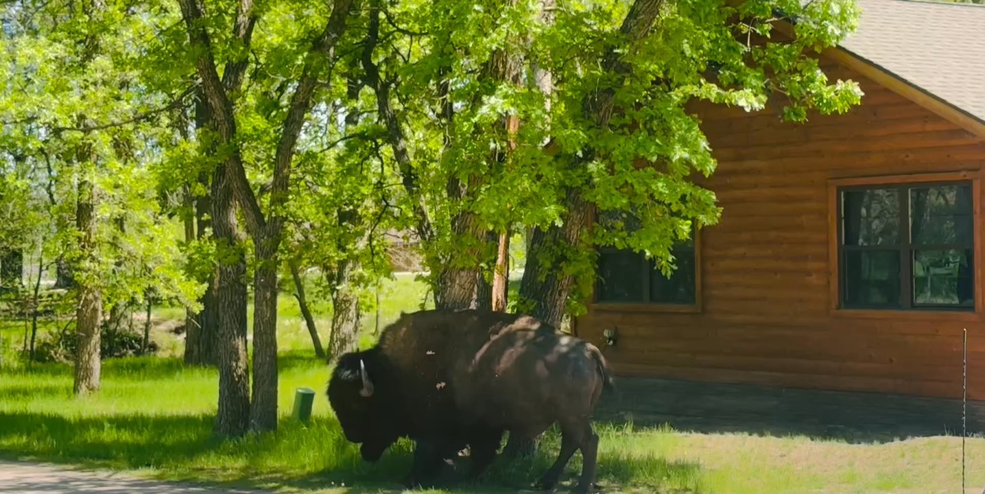 State Game Lodge - Hotels Near Me - Custer, South Dakota