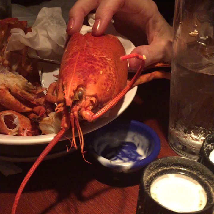 Red Lobster - We ate Larry the Lobster - Seafood Near Me - Lima, Ohio