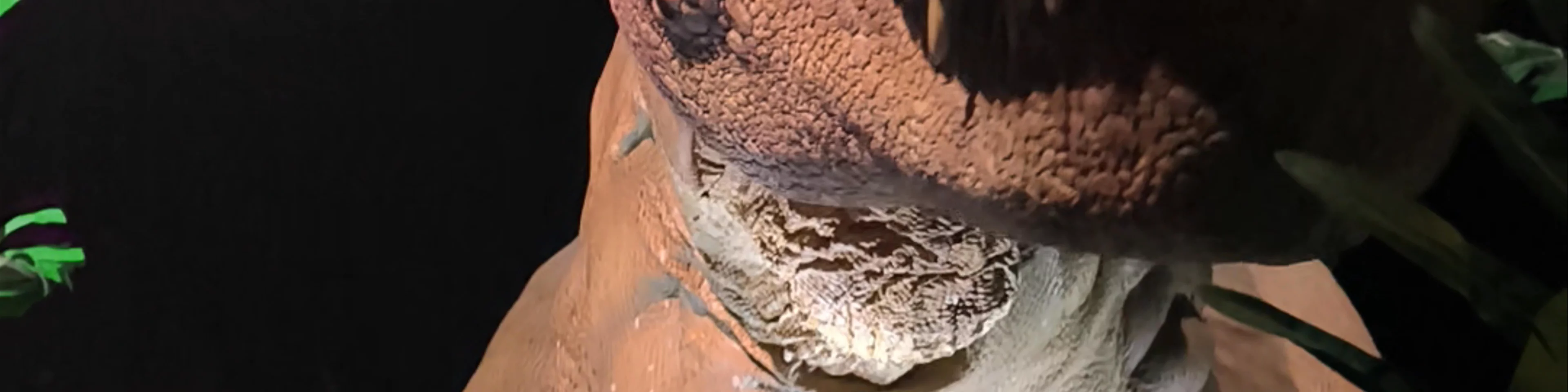 Jurassic World: The Experience Bangkok